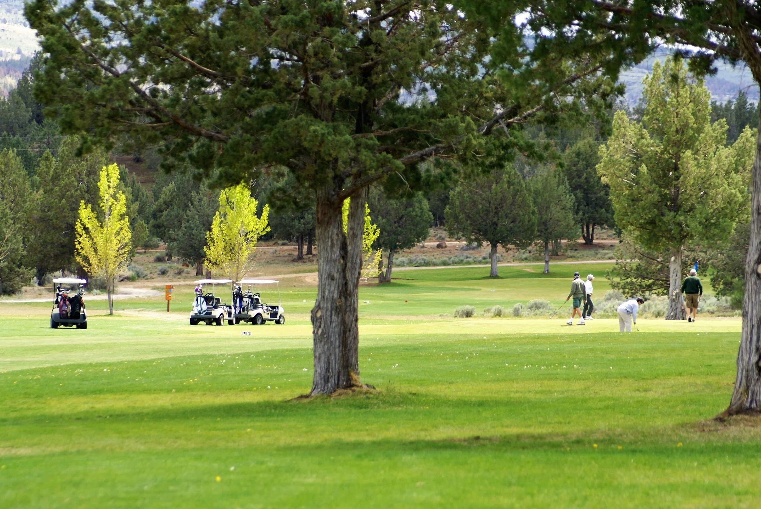 Golf, RV Campground & Resort, Alturas, Modoc County California