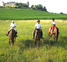 france-medoc-beach-horseback-ride-holidays-22.jpg