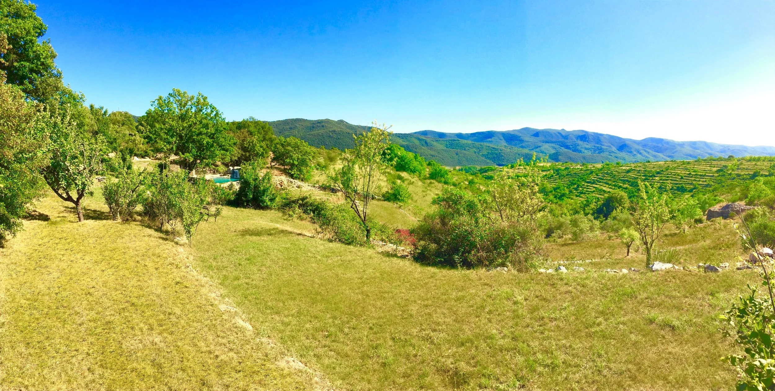 land view latest.jpg