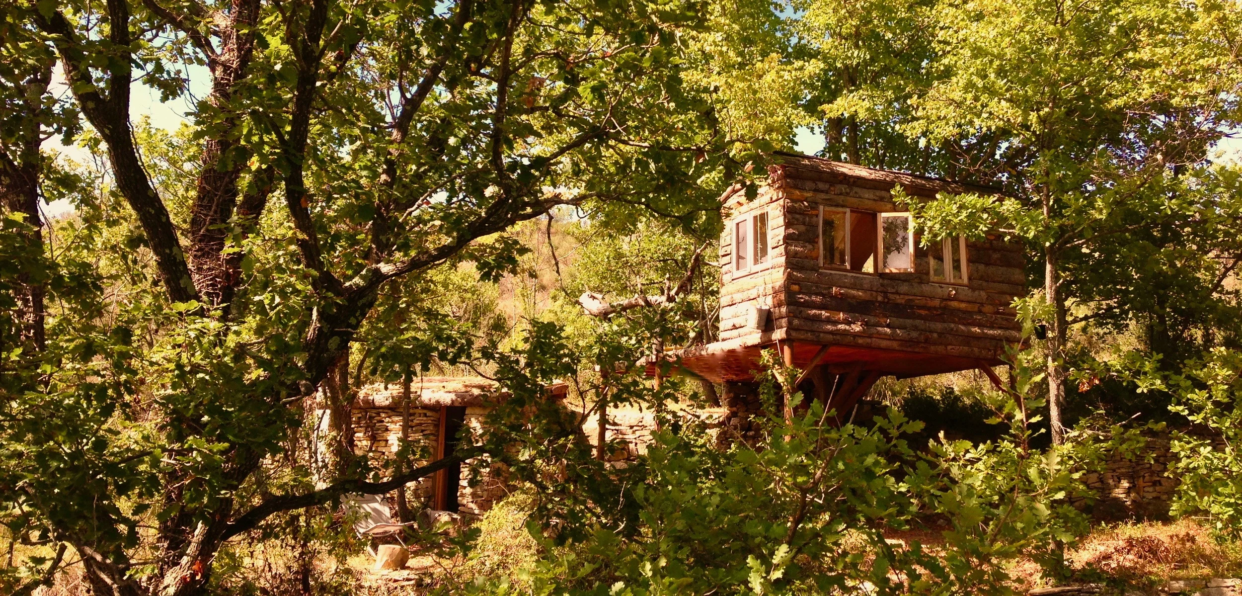 Treehouse 3.jpeg