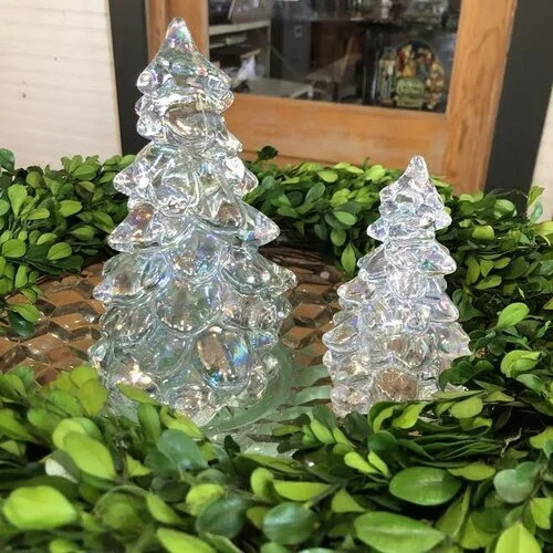 Crystal+Carn+Trees.jpg
