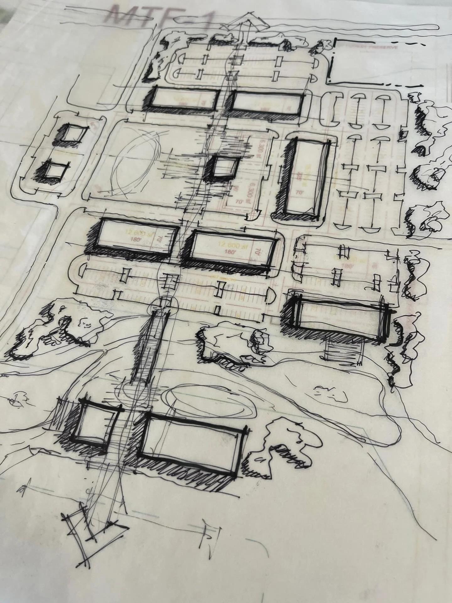 On the 5th Day of Design TDS gave me a Before ➡️ After ✏️ sketch of a new project! This is the start of something exciting and we cannot wait to share more soon.