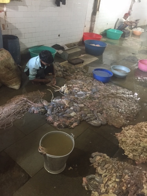 A man in Dharavi processing goat entrails that will eventually become surgical thread.