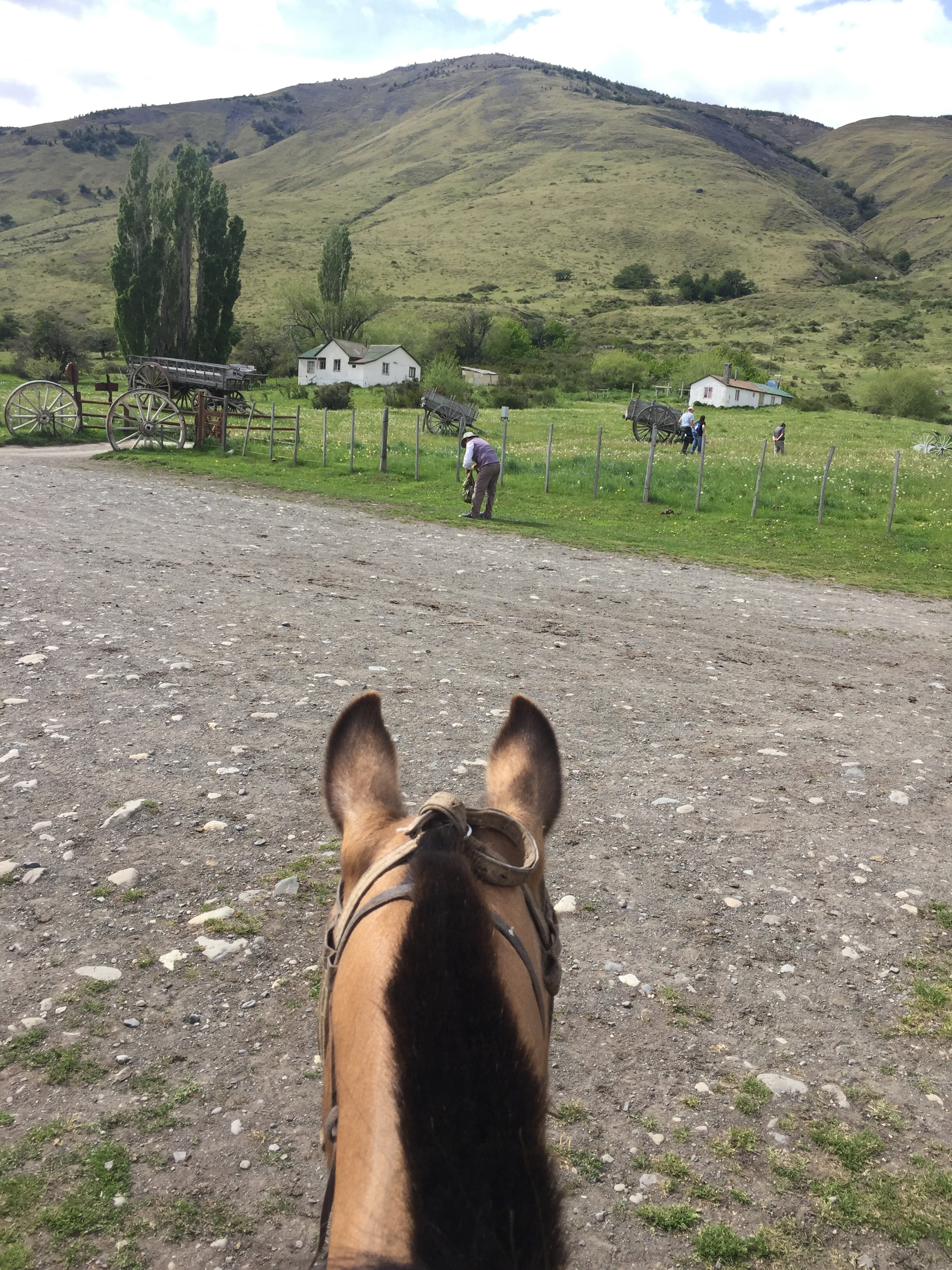 The view from horseback. 