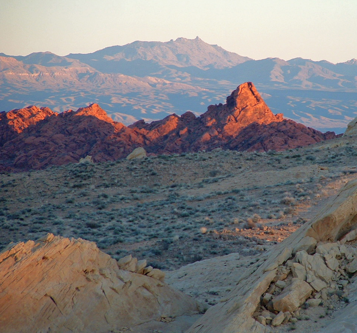 "Desert Sunset"