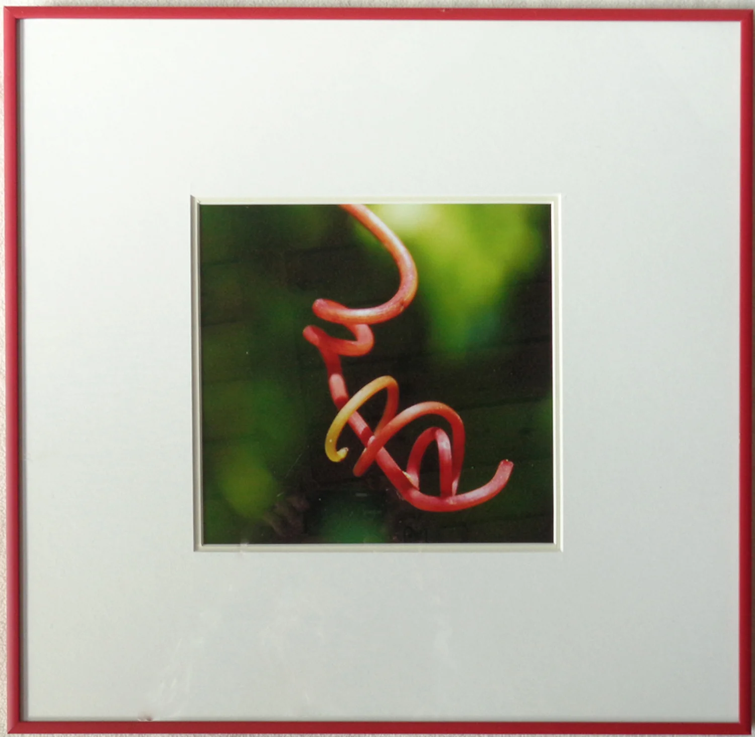 "Tendril"