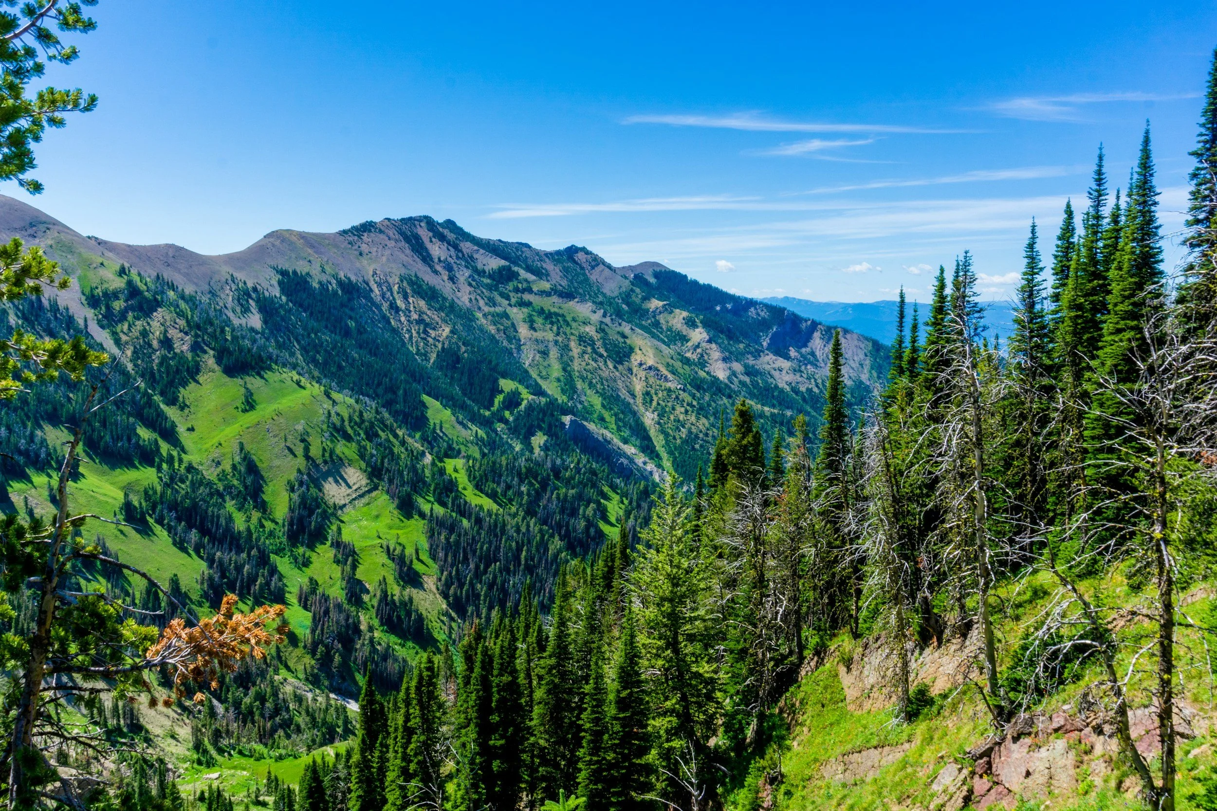 Southwest Montana Association of REALTORS | Strategic Planning