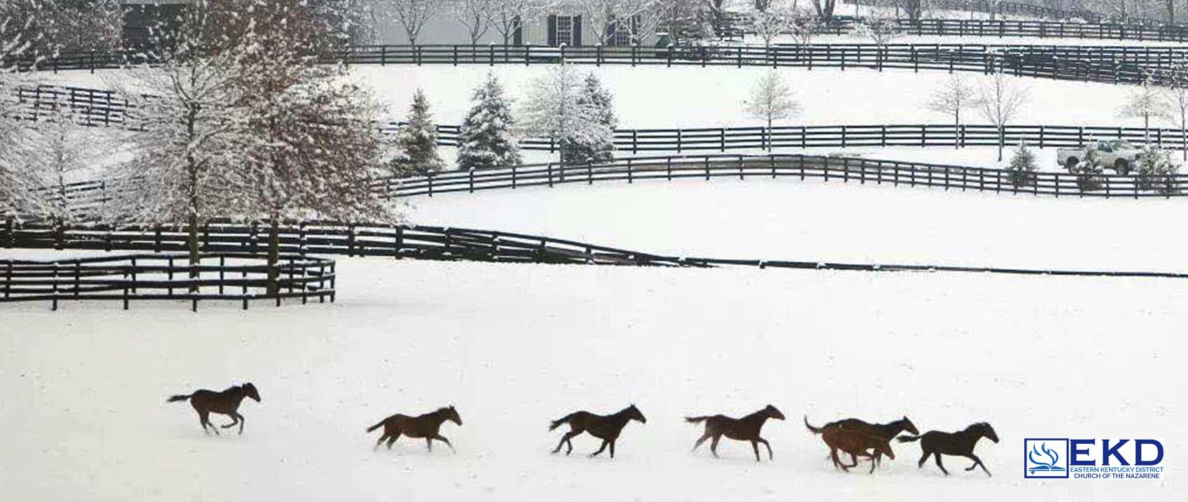 Kentucky Winter.jpg