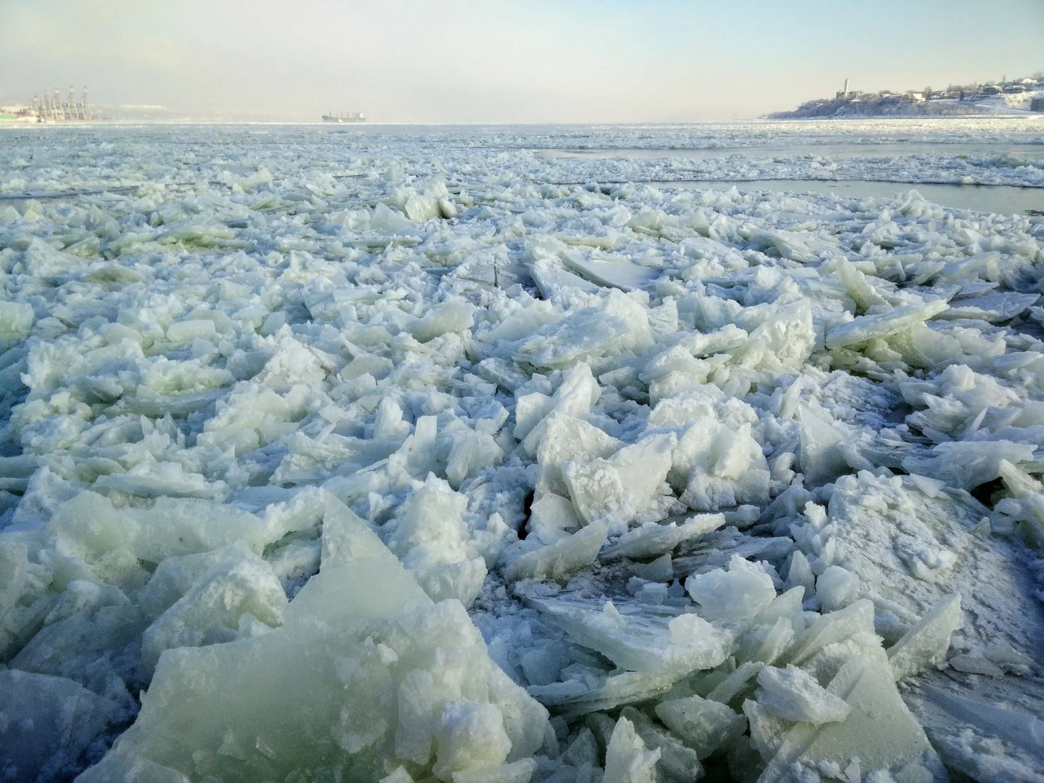 À un fleuve de toi : atelier (rive sud)