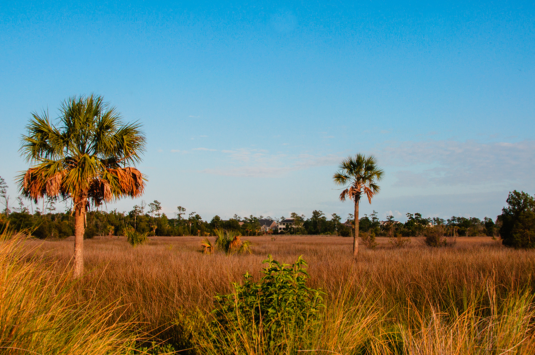 RiverTowne Marsh View