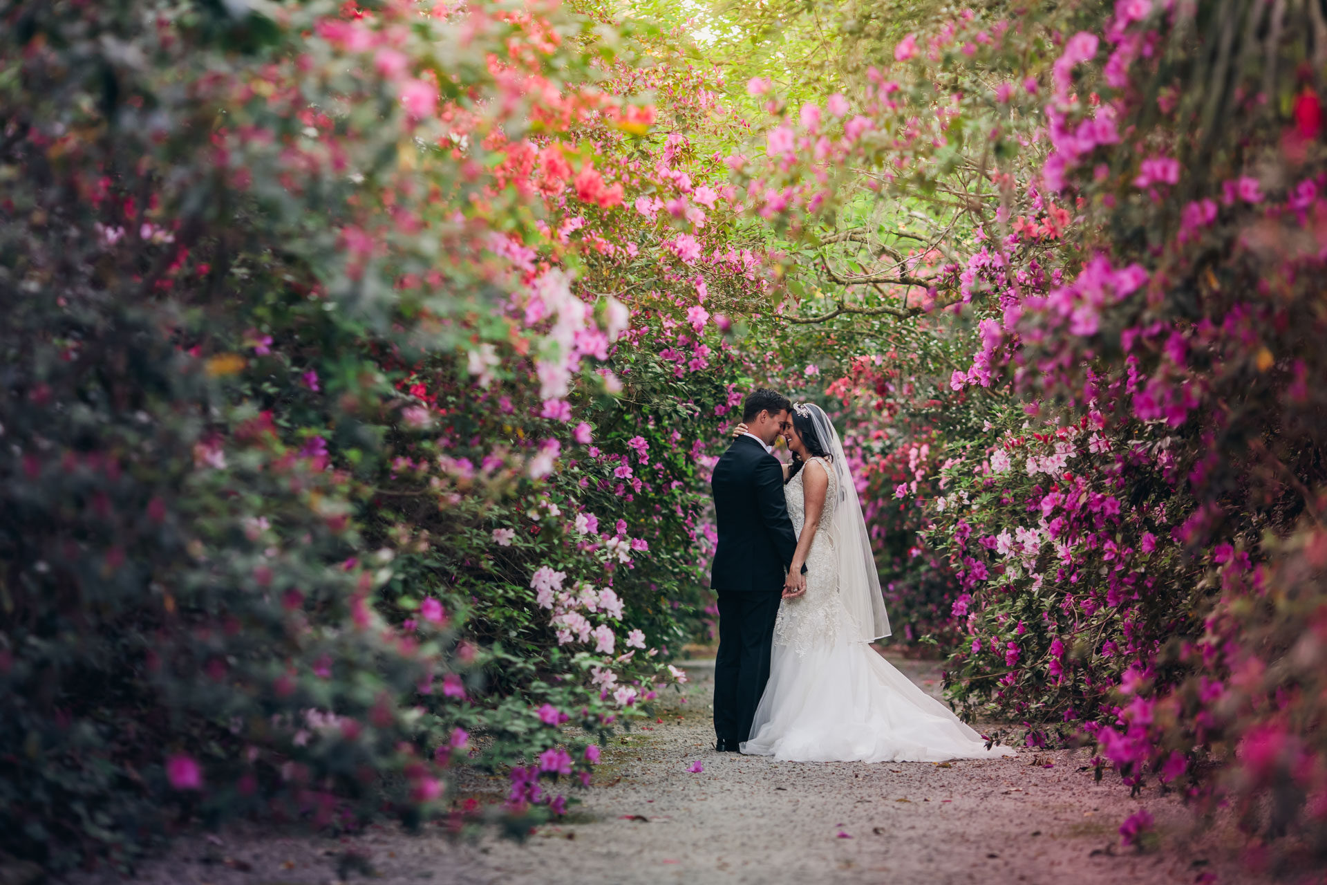 Magnolia Plantation | Richard Bell Photography