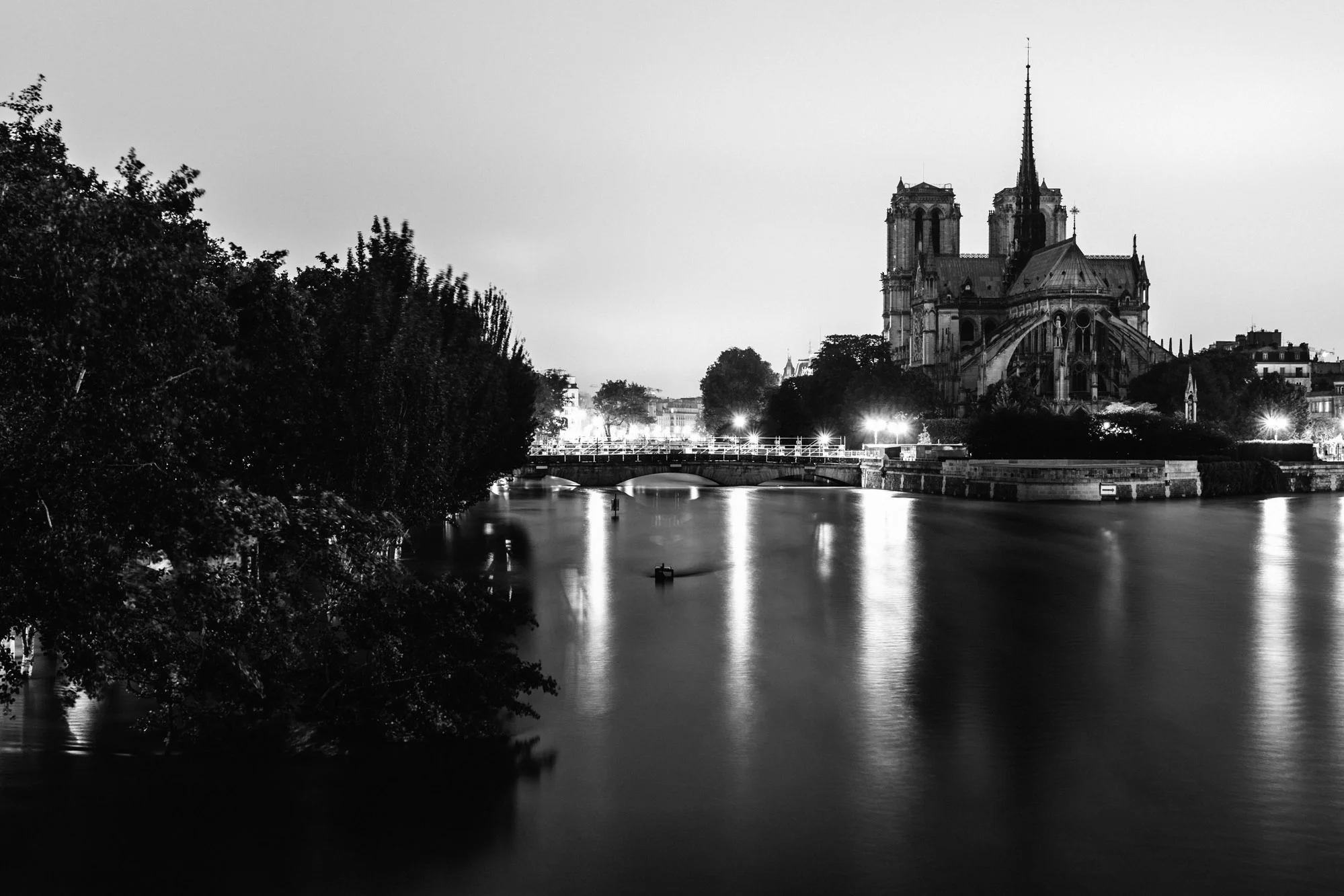 CRUE DE LA SEINE ET NOTRE-DAME-DE-PARIS, PARIS (FRANCE). 2016