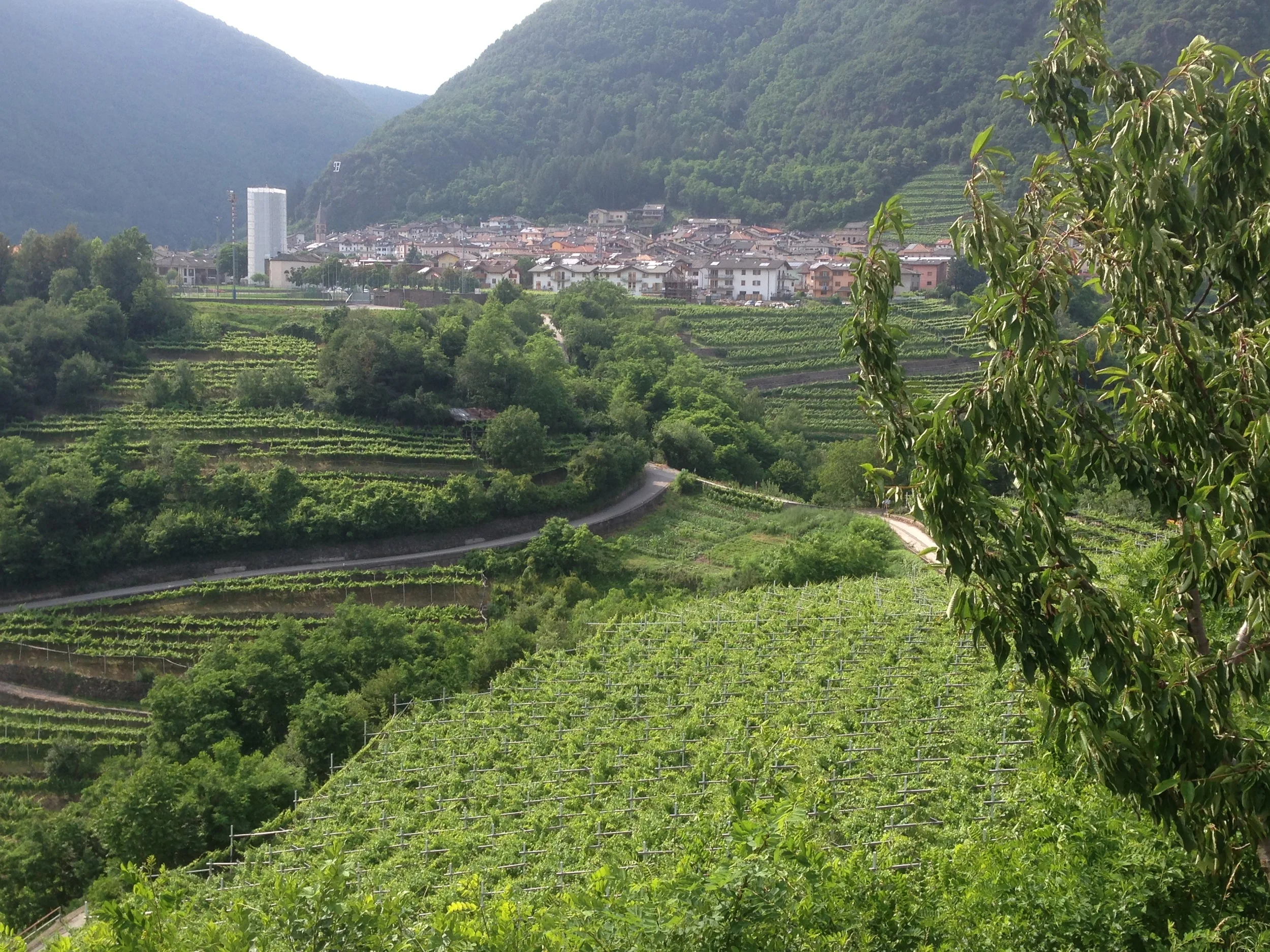 Cembra, o della "valle faticosa"