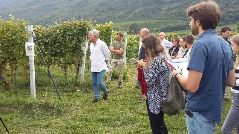 Le nuove varietà presentate nel corso dell'incontro