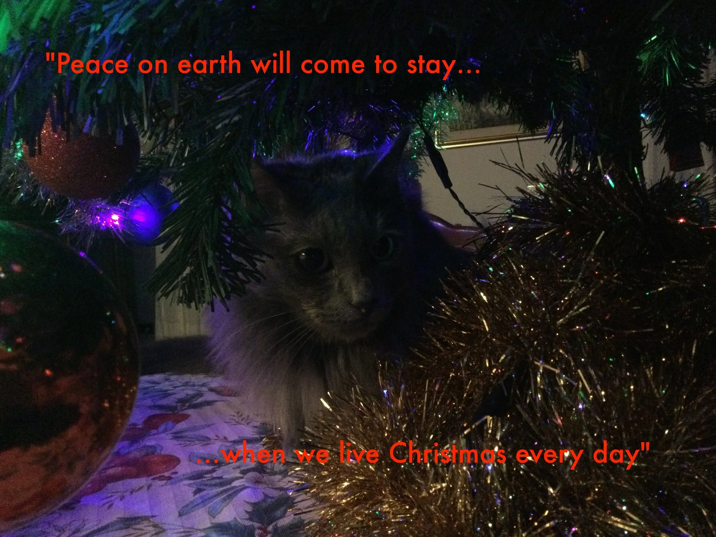 Buone Feste 2020 - Season Greetings