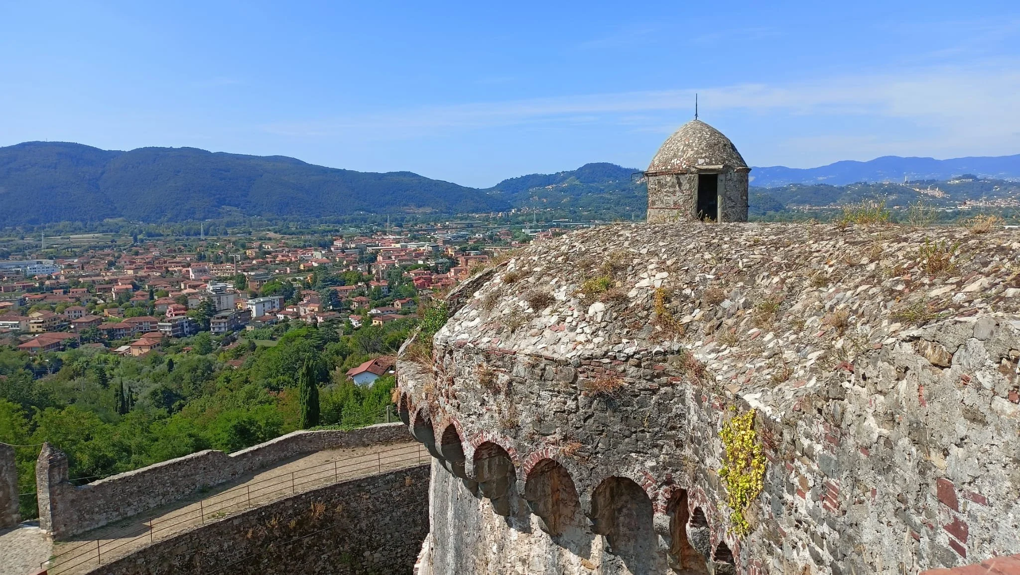 WhatsApp Image 2022-08-26 at 12.04.51 (1).jpeg