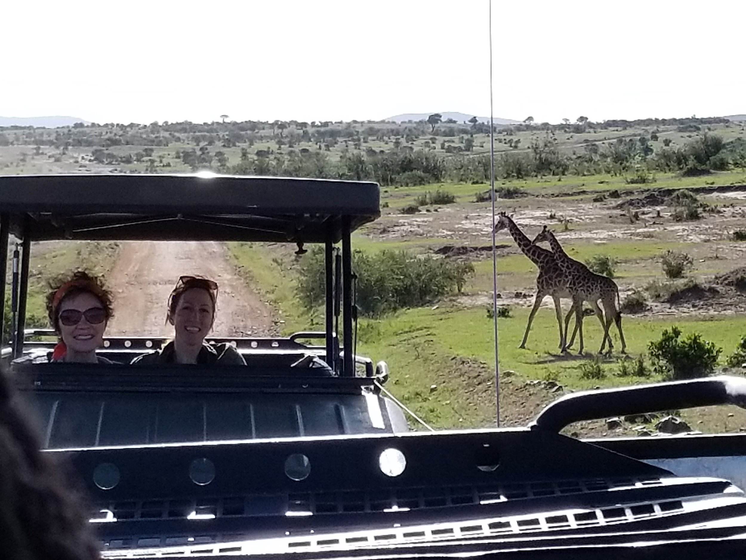 linda safari.jpg