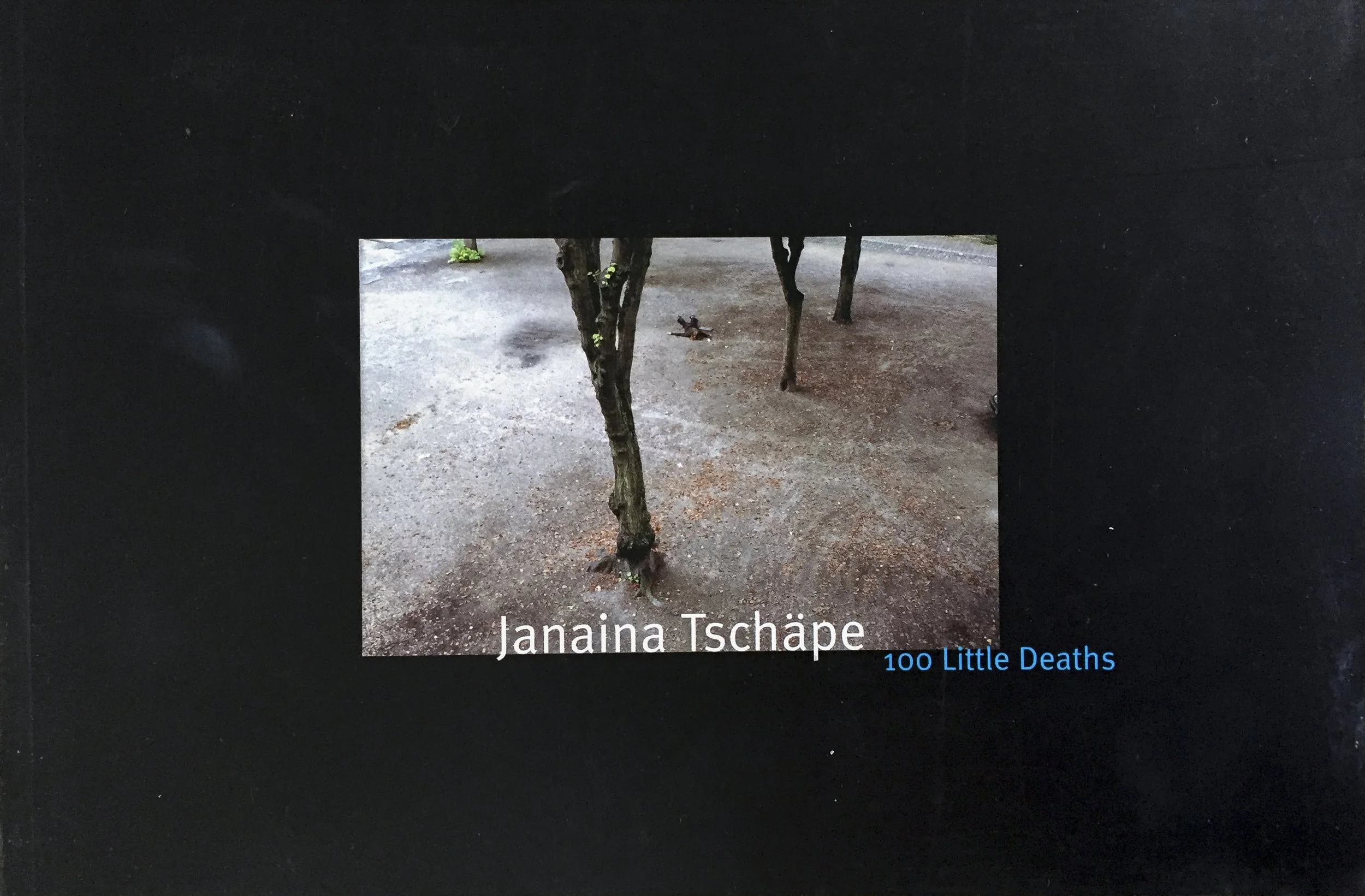   100 Hundred Little Deaths   The photographic series 100 Hundred Little Deaths is the artist Janaina Tschape's meditation on mortality, both dark and oddly humorous photographs taken all over the world. The artist lies face down in empty rooms, hous
