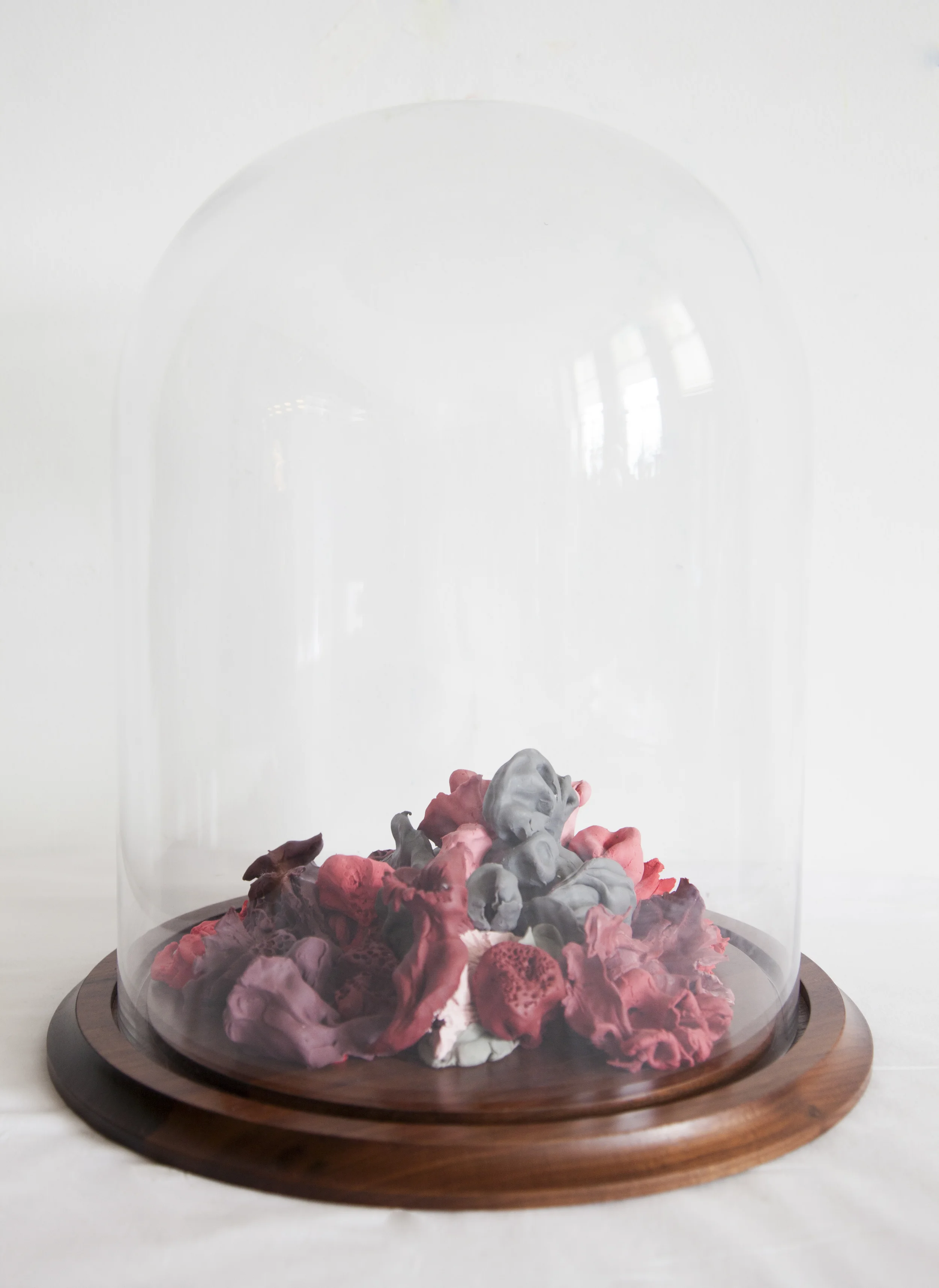 Untitled II 2014 Plastacine, wood and glass 12x15"/30x38 cm