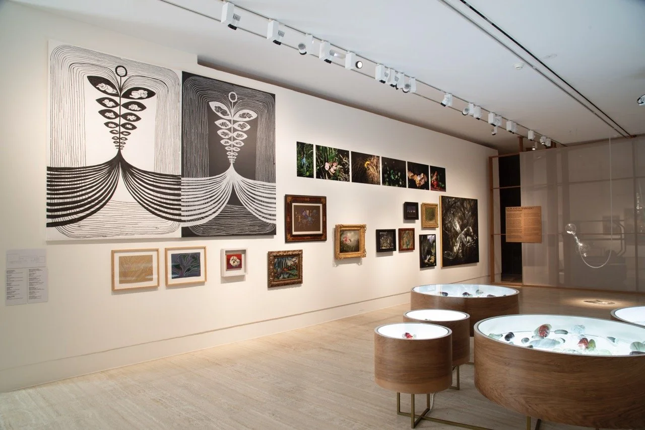 Terrafilia_028 Large.jpeg