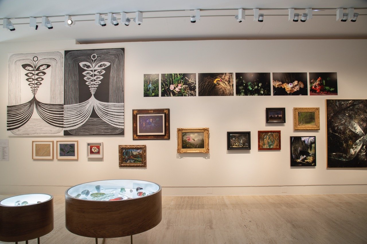 Terrafilia_032 Large.jpeg