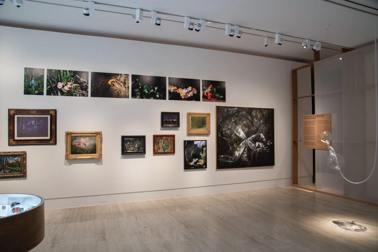 Terrafilia_031 Large.jpeg