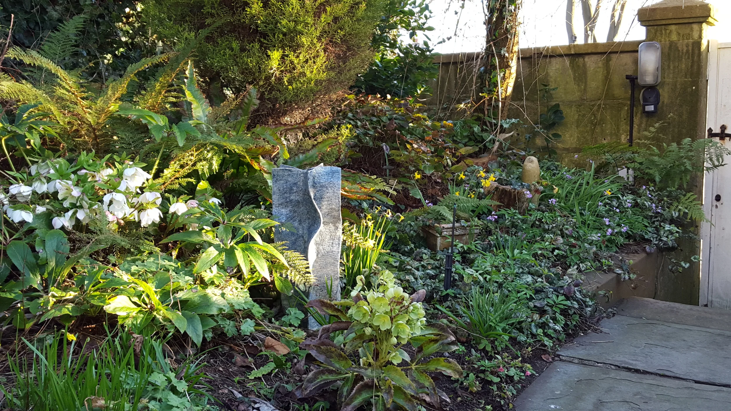 Cornish stream in woodland garden.jpg