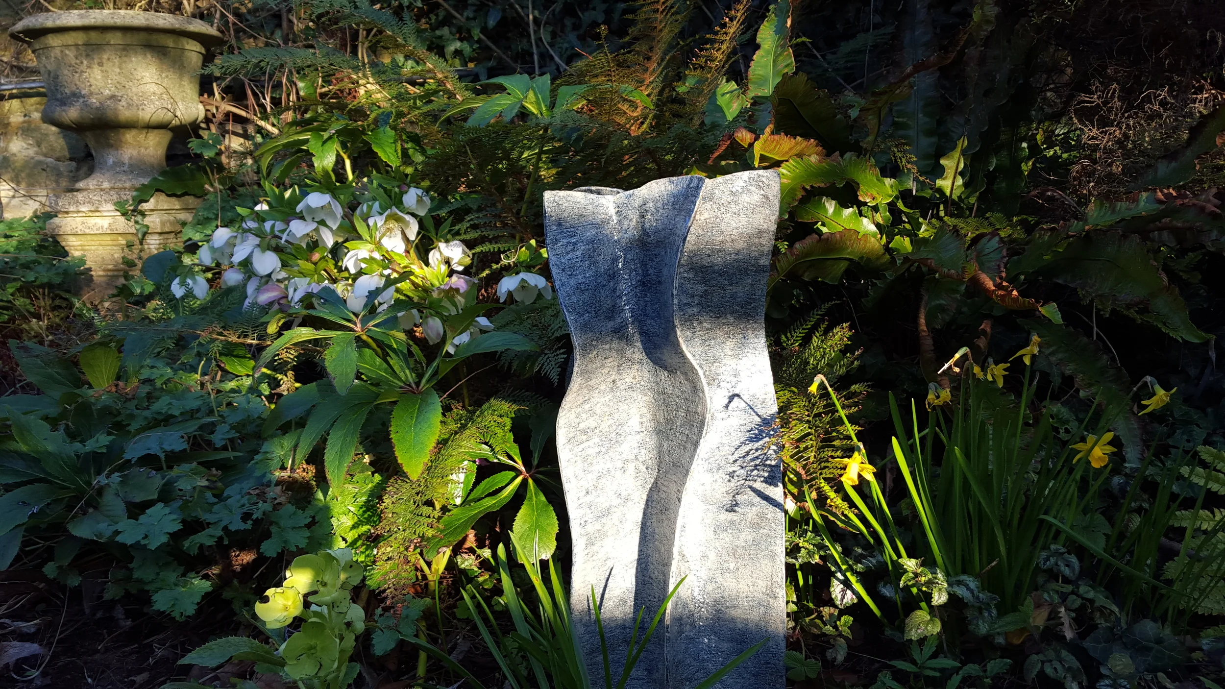 Cornish stream close up woodland garden.jpg