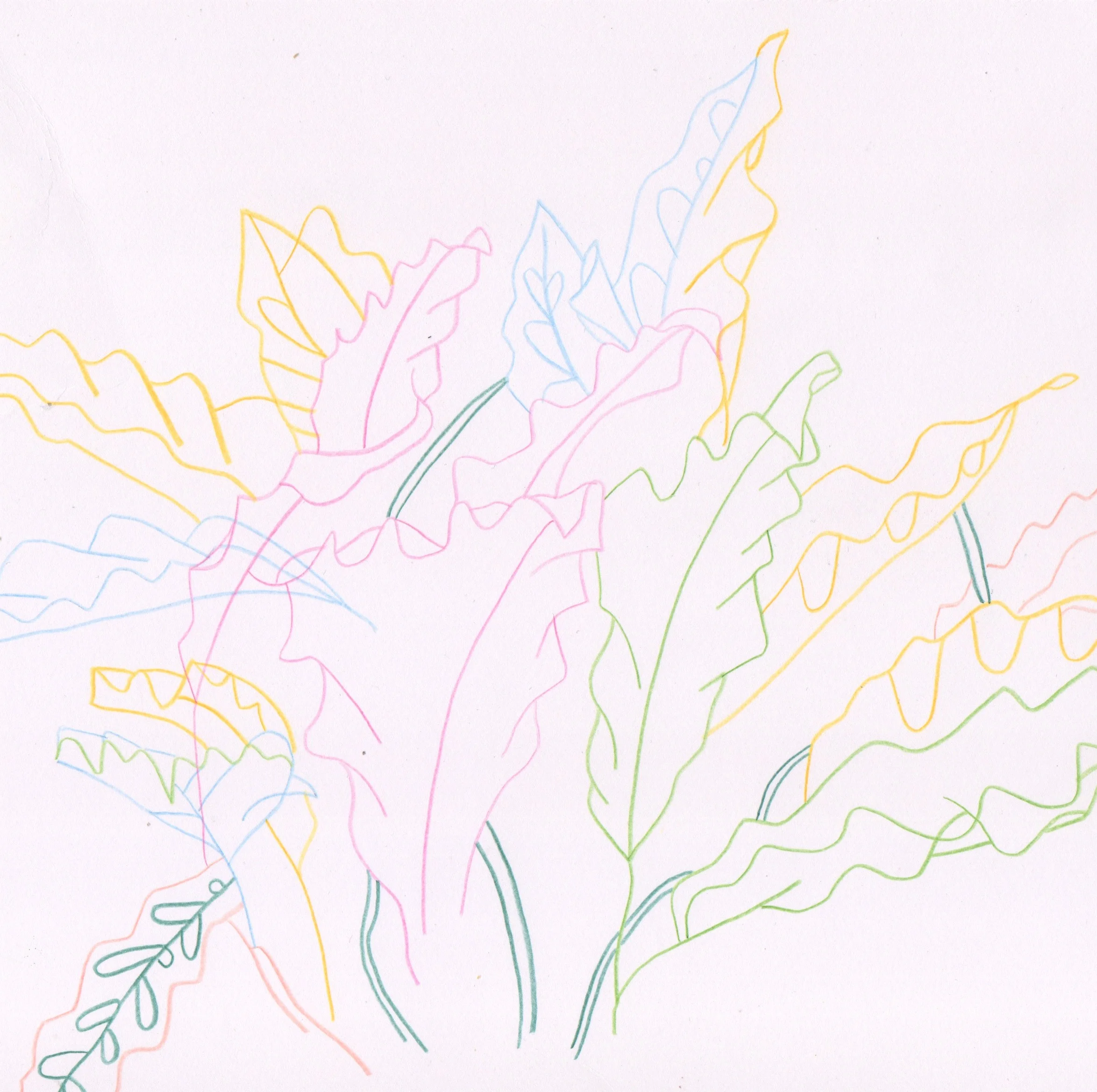 009 Tim A Shaw - Drawing on Eileen Skellern 1 - Coloured pencils on paper.jpeg