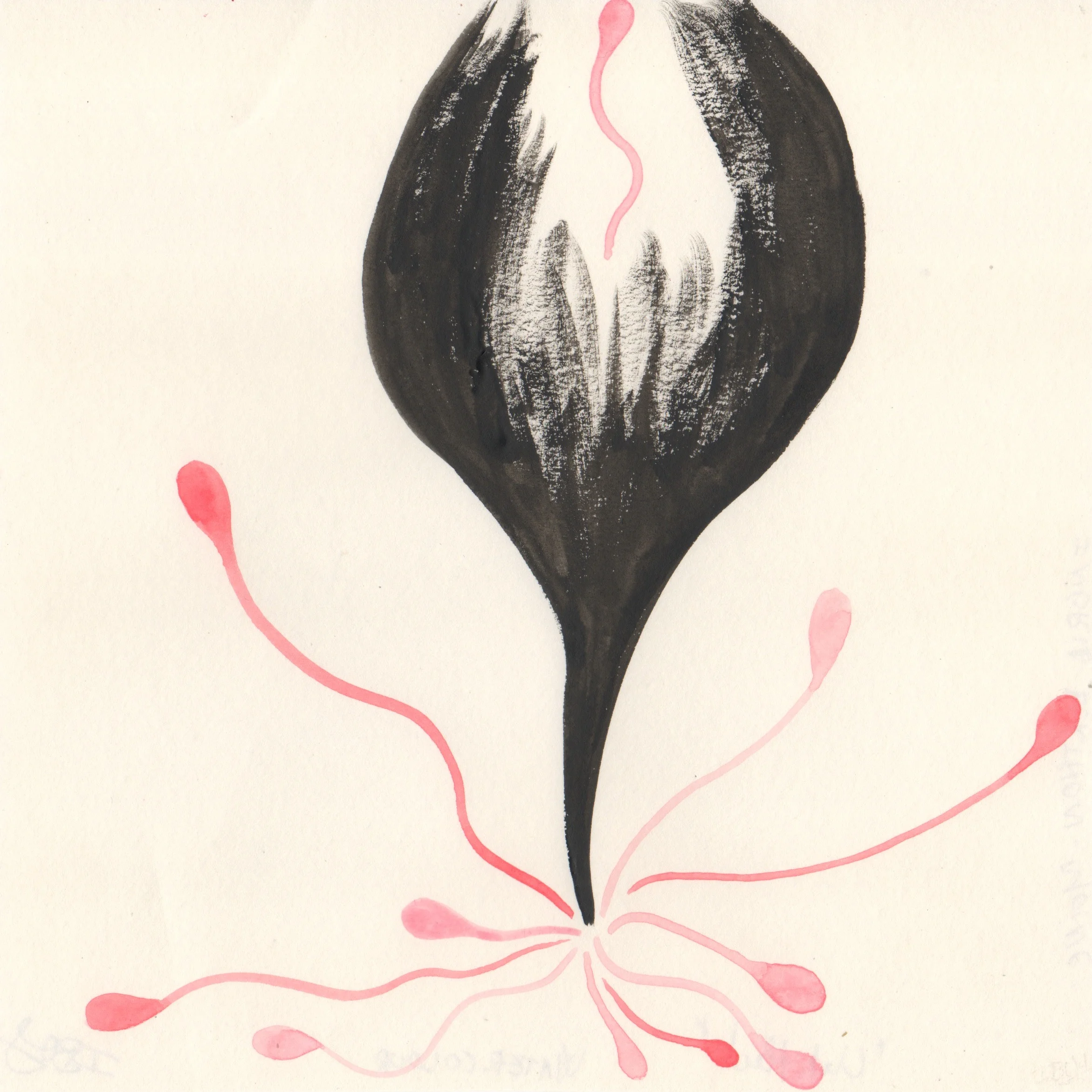 022 Ingrid Berthon-Moine - Untitled - Watercolour.jpeg