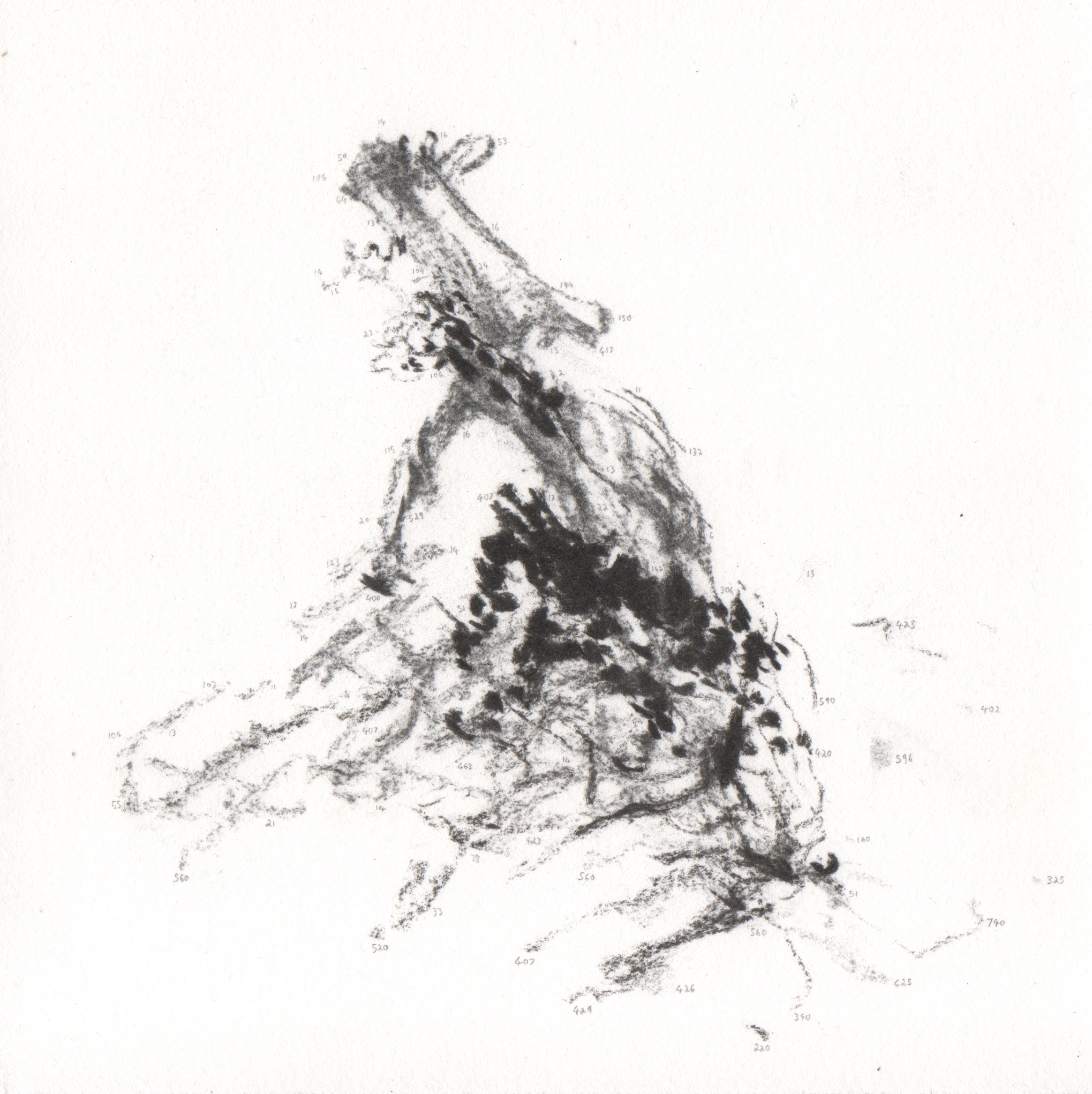 069 Frederic Anderson - To See a Landscape... - Charcola on paper.jpeg