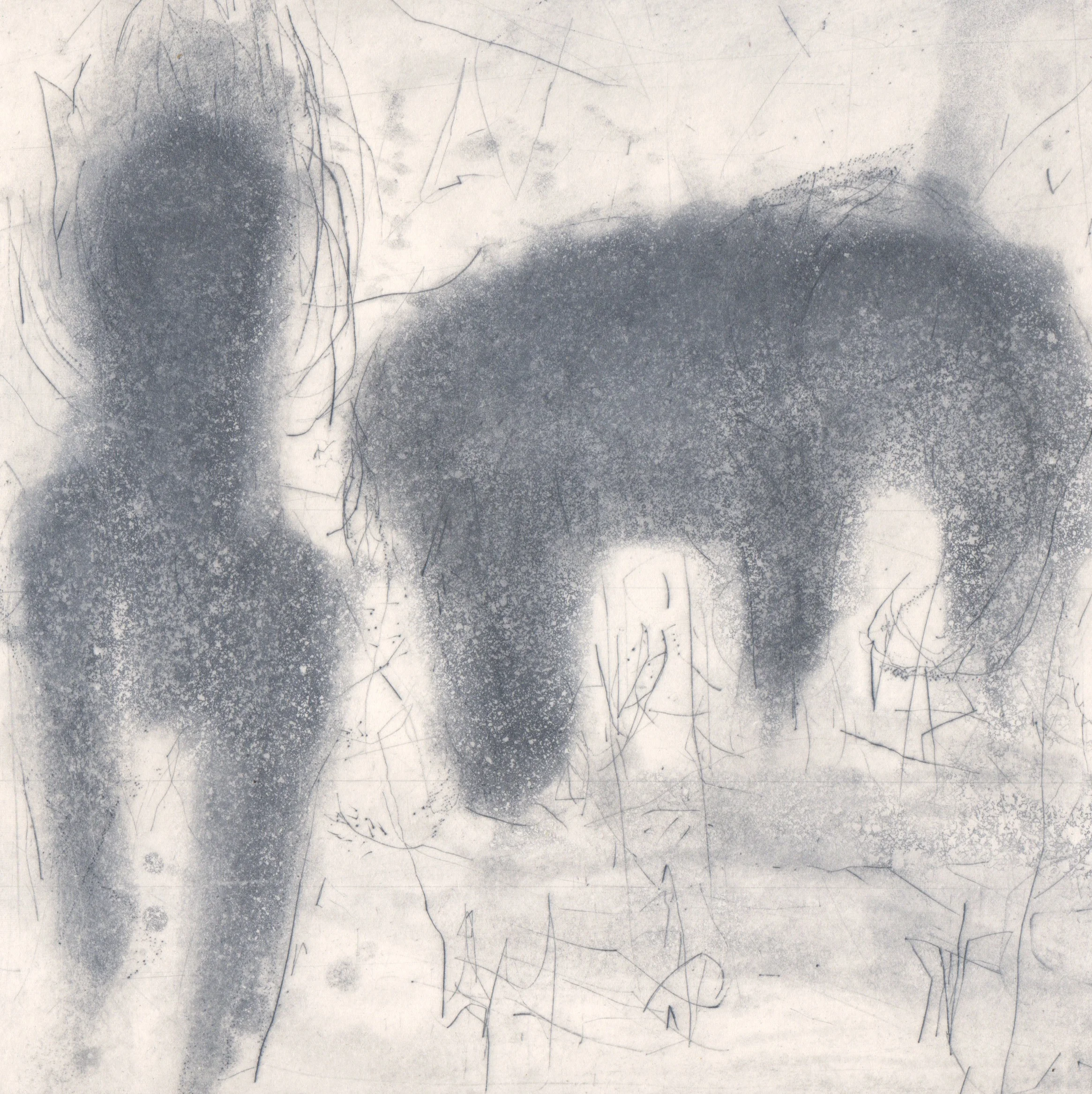 080 Sarah Praill - Ma - Etching on paper .jpeg