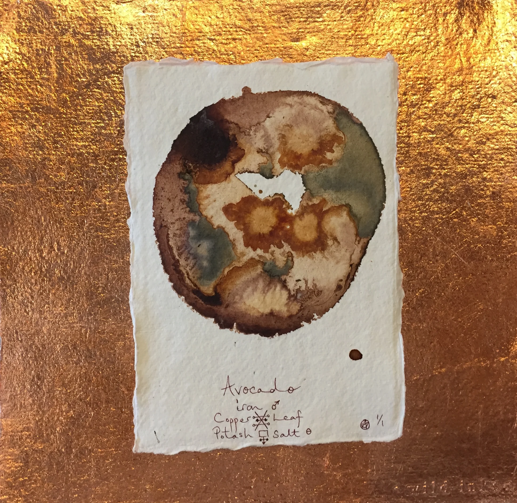 154 Jemima Sunley - Avocado, iron, copper, leaf, potash, salt.jpg