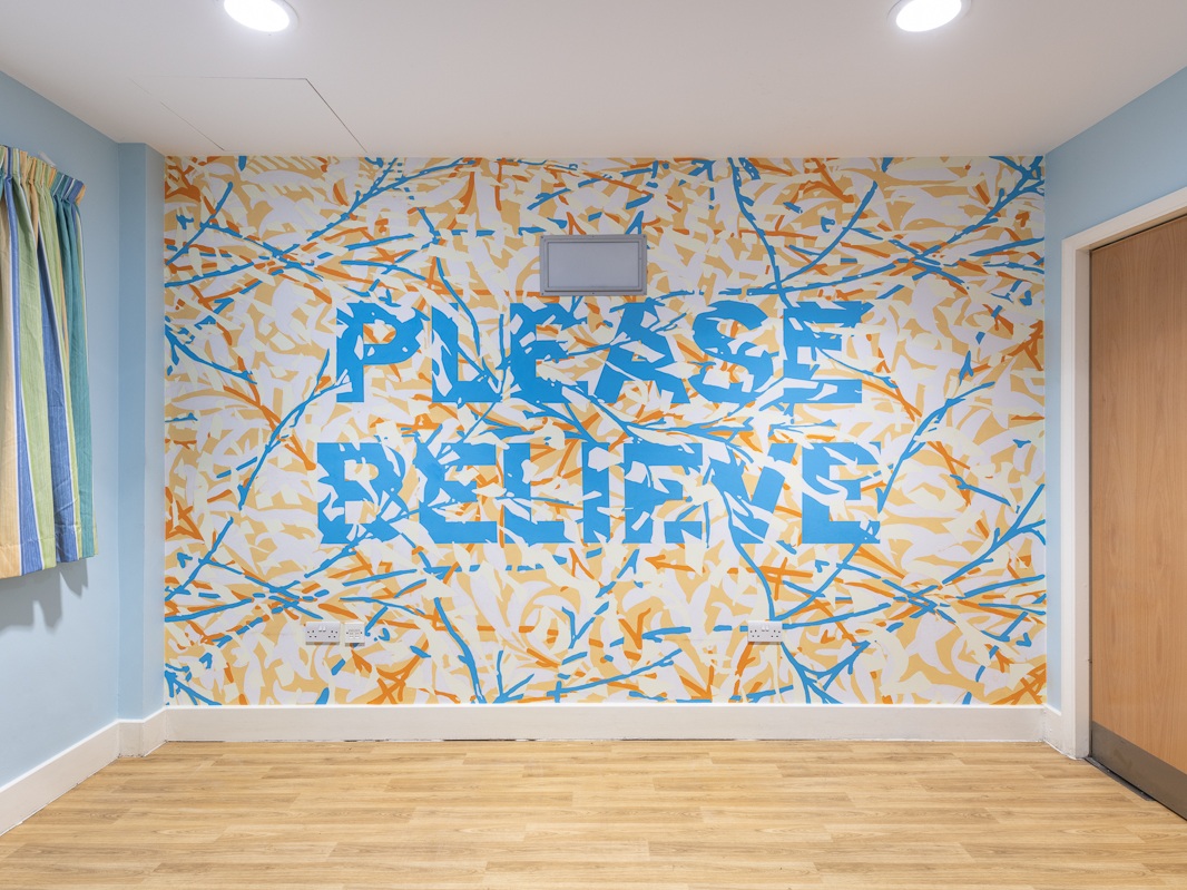 Mark+Titchner+Please+Believe+TV+Room+Bluebell+Lodge+Hospital+Rooms+.jpg