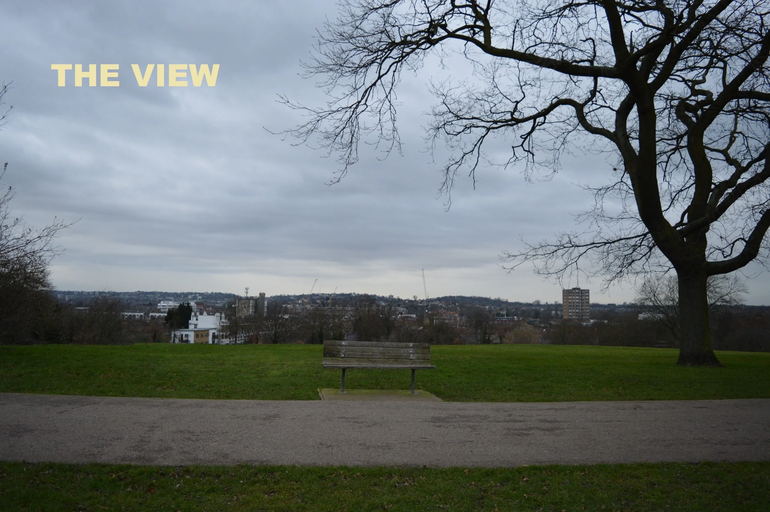 3 THE VIEW resized 1.jpg