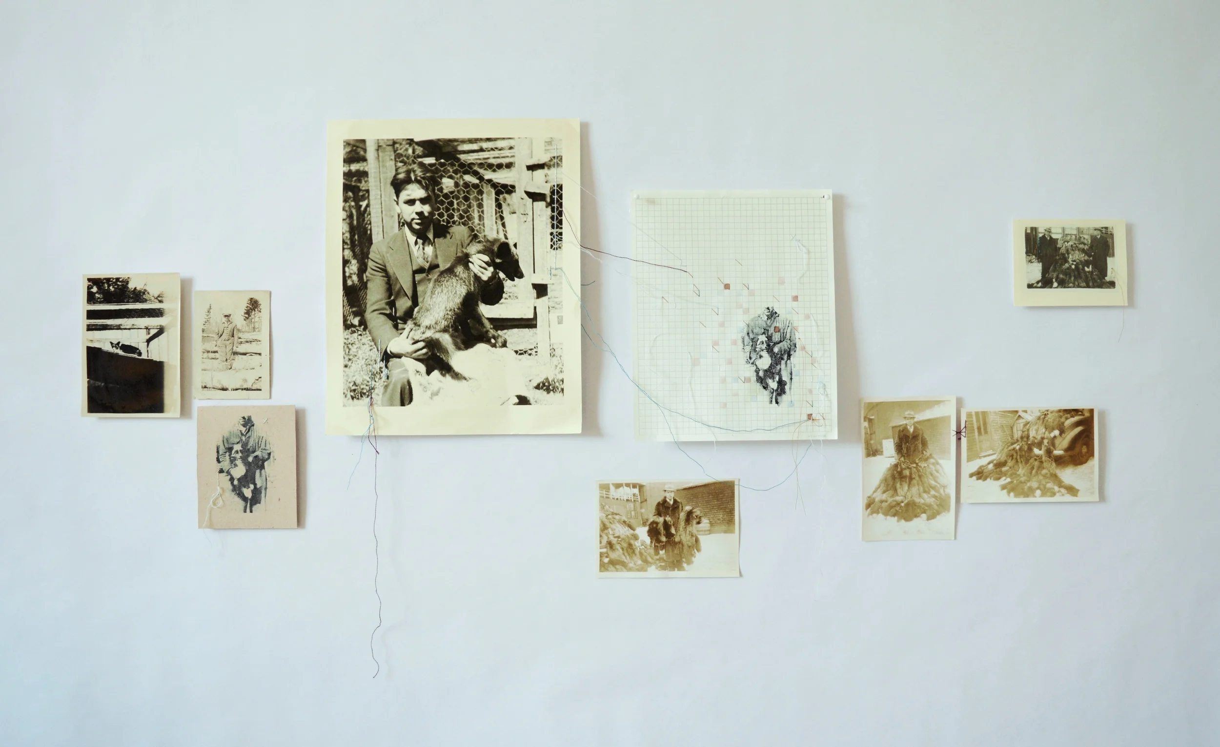 7 Amy Ash Rewriting the Almanac 2015.jpg