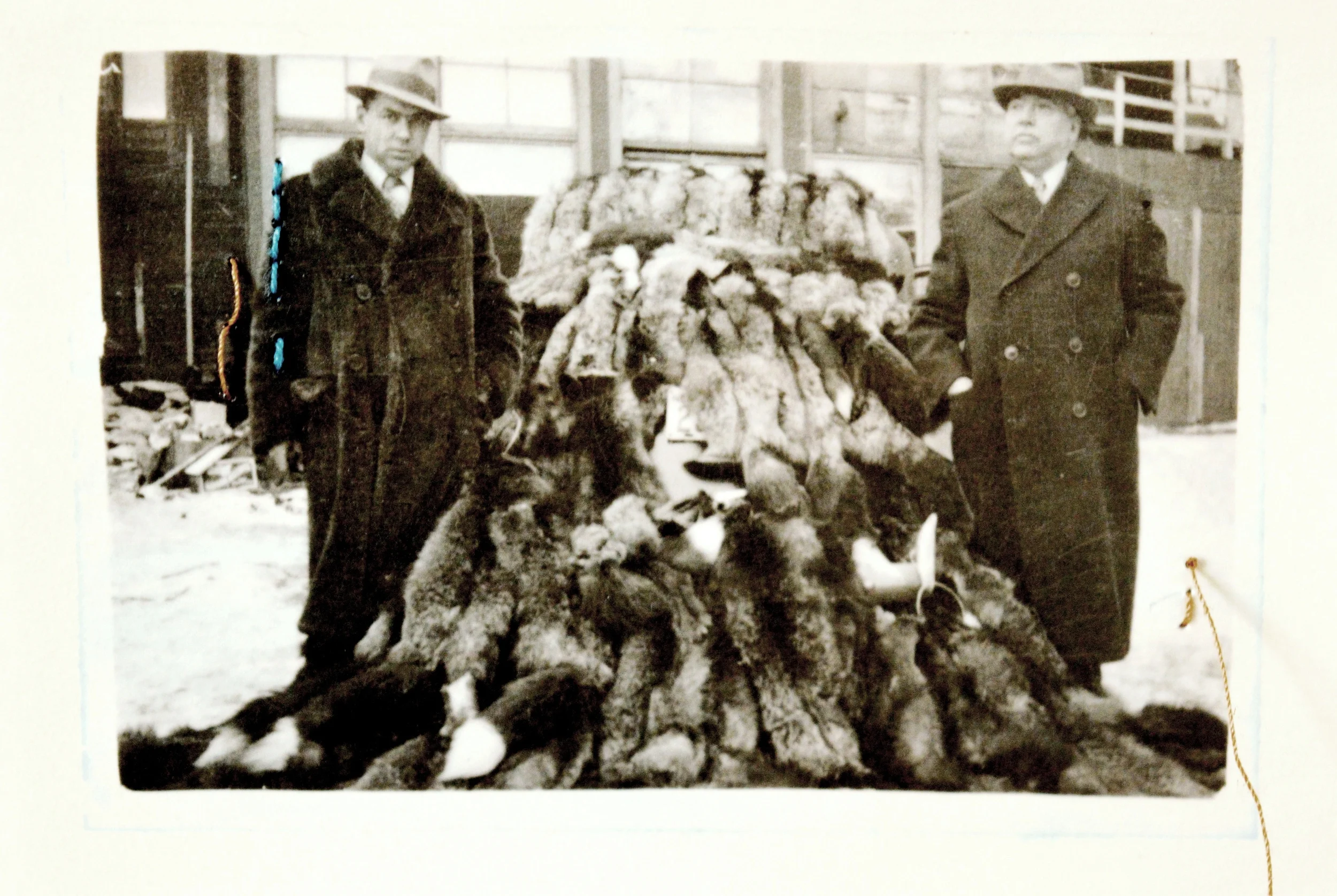 8 Amy Ash Rewriting the Almanac detail 6 2015.jpg