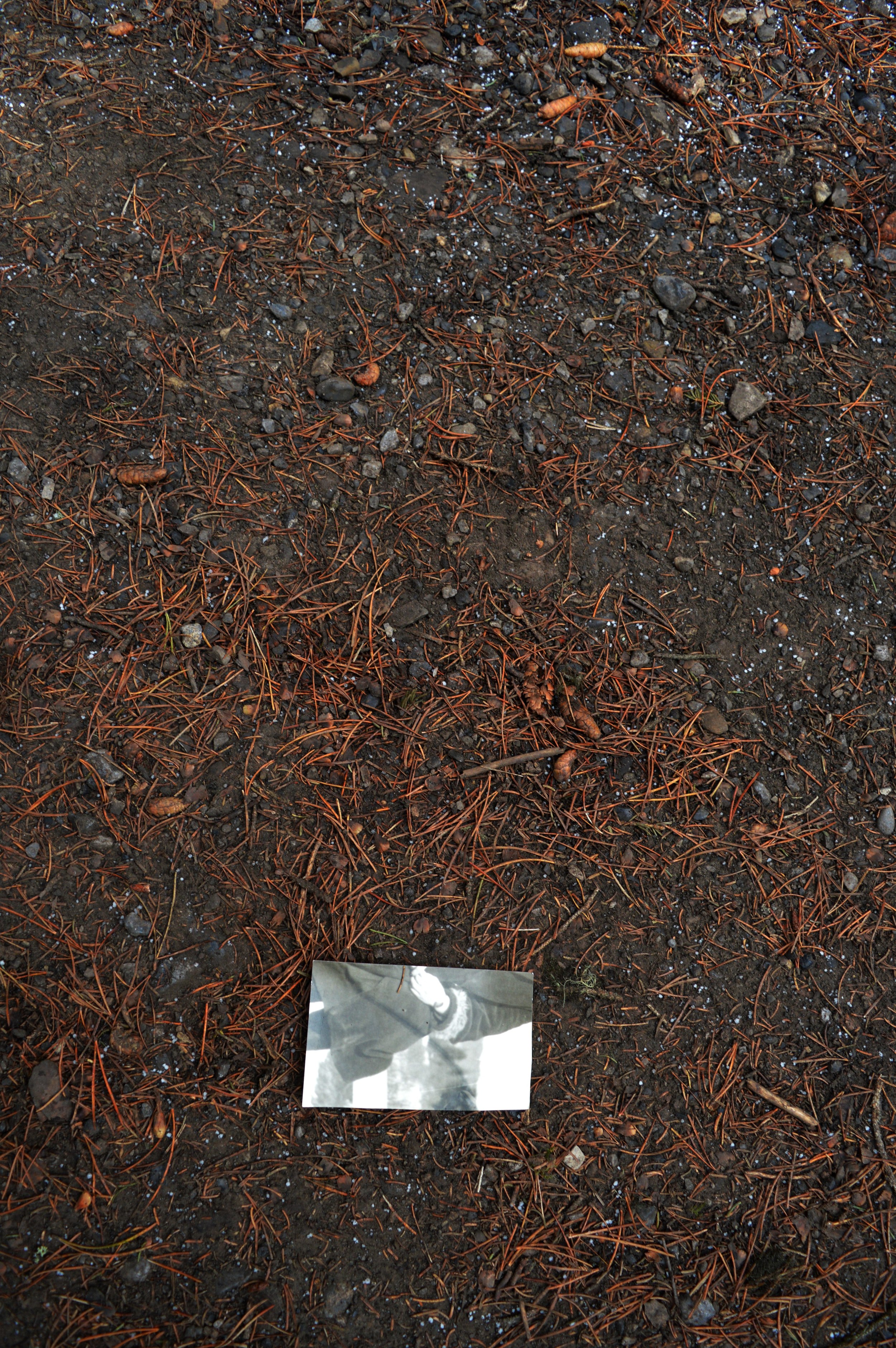 DSC_0258.JPG