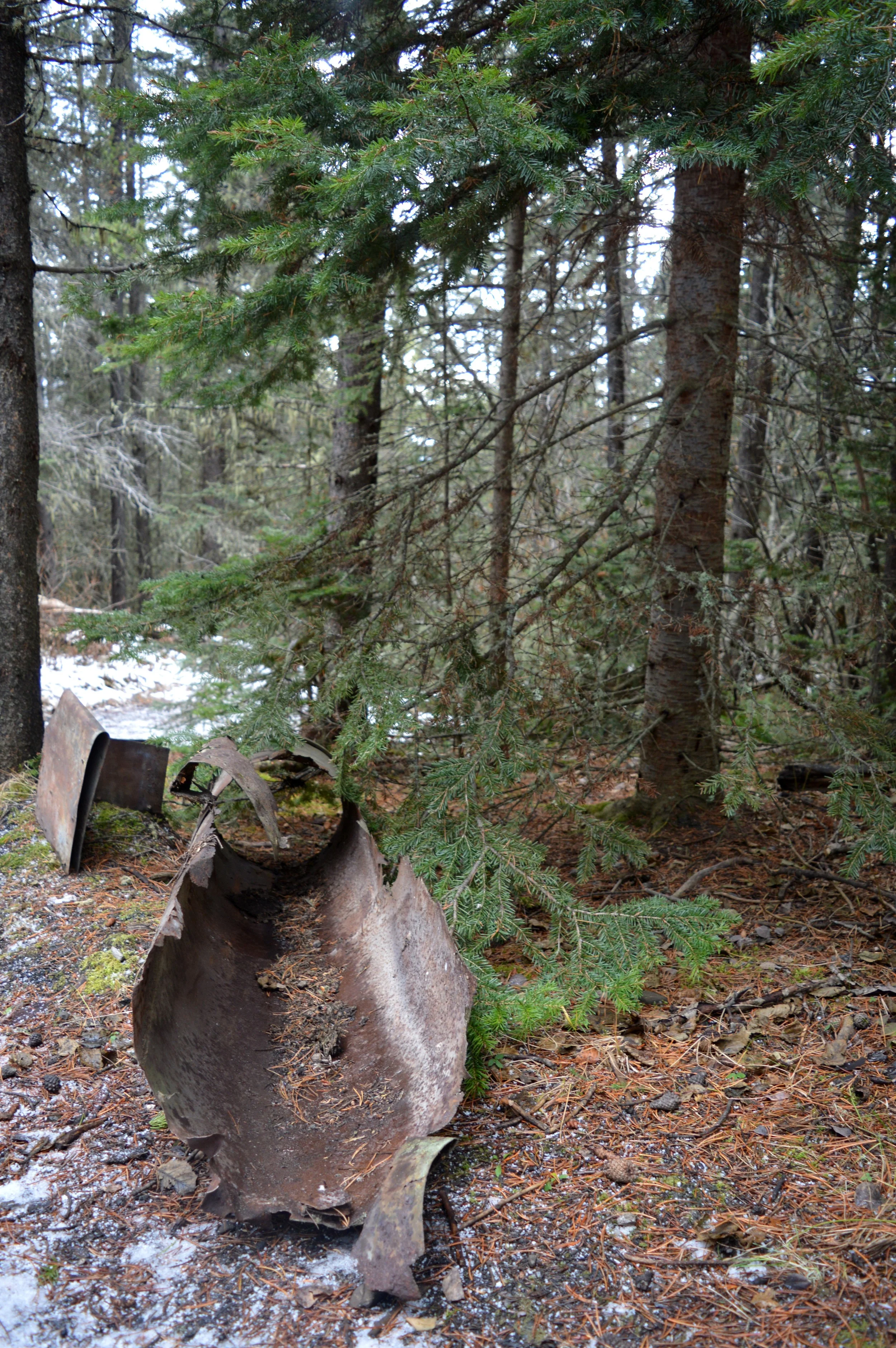 DSC_0273.JPG