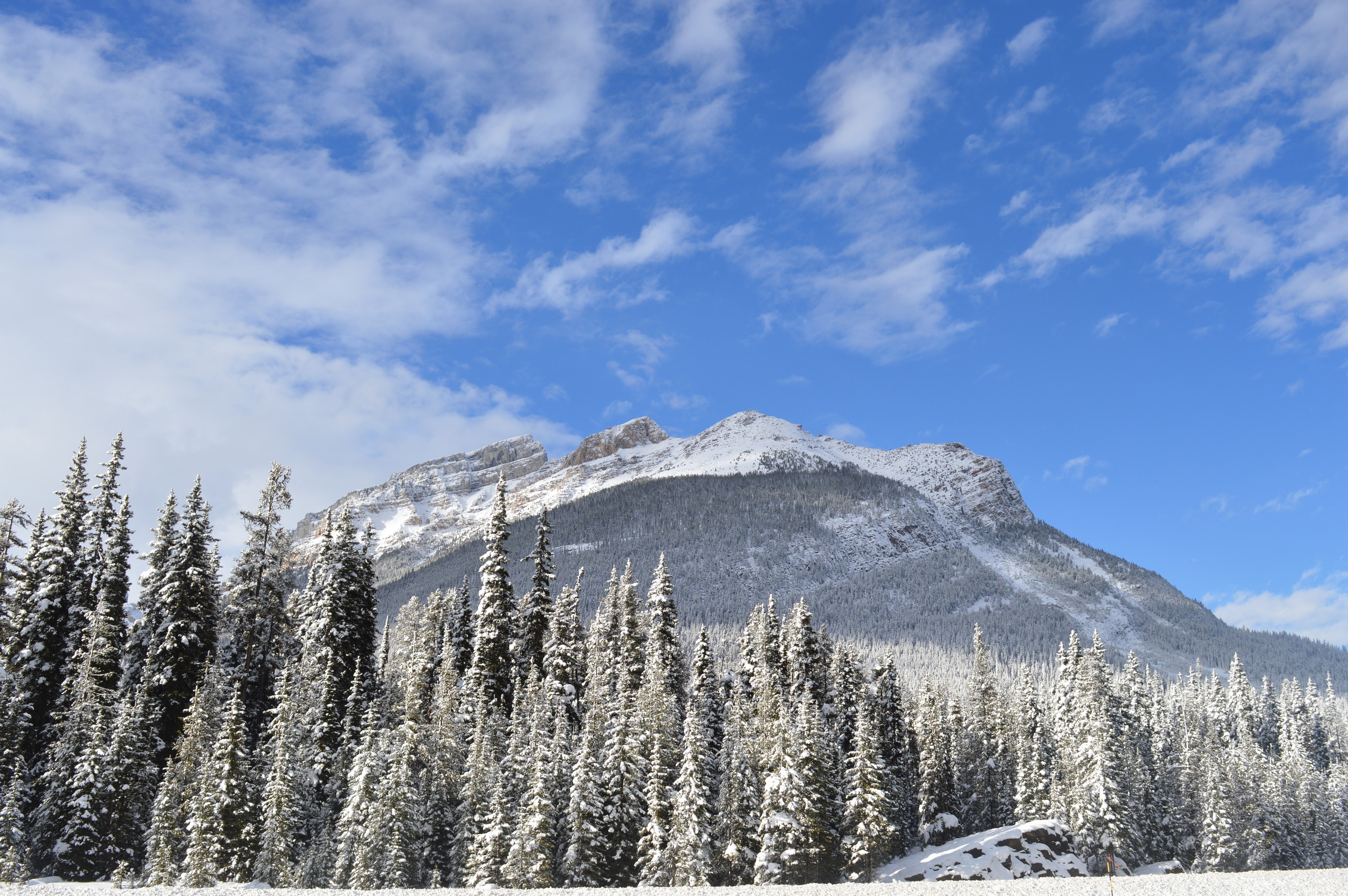 DSC_0320.JPG