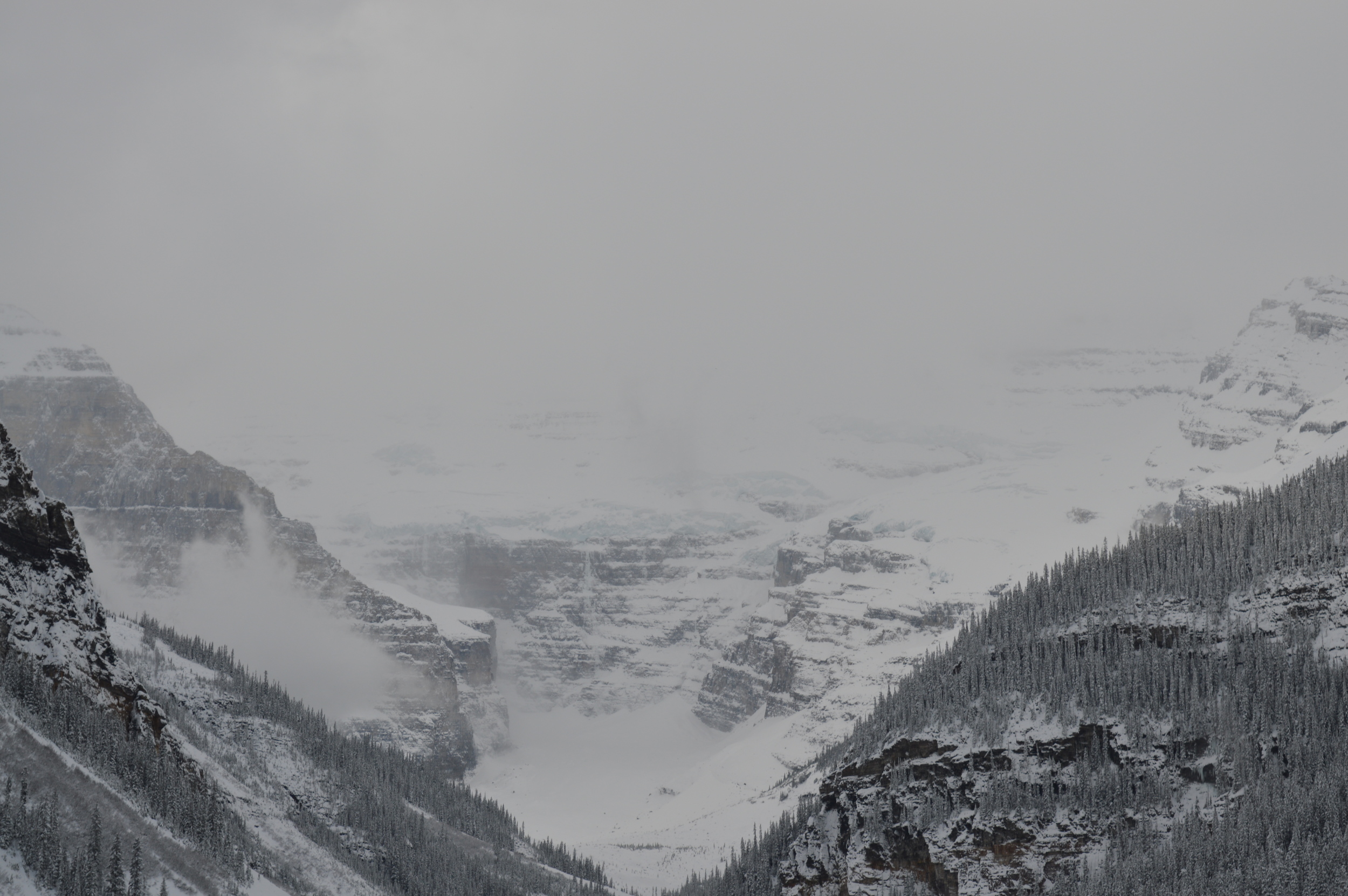 DSC_0384.JPG