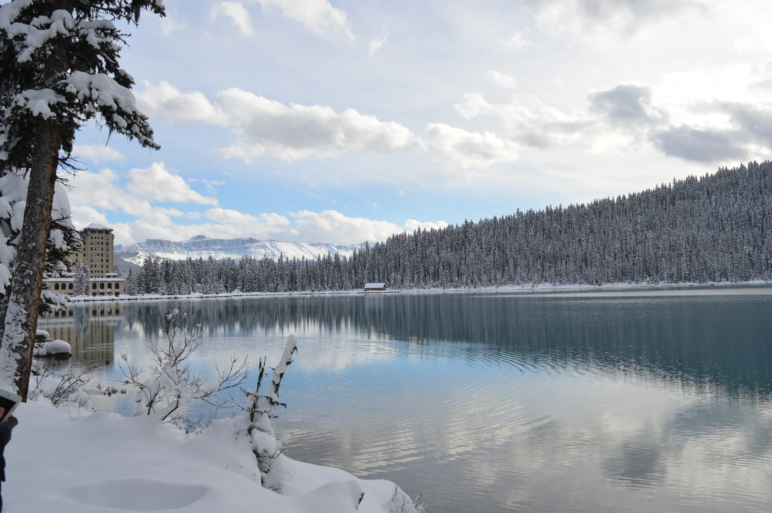 DSC_0395.JPG