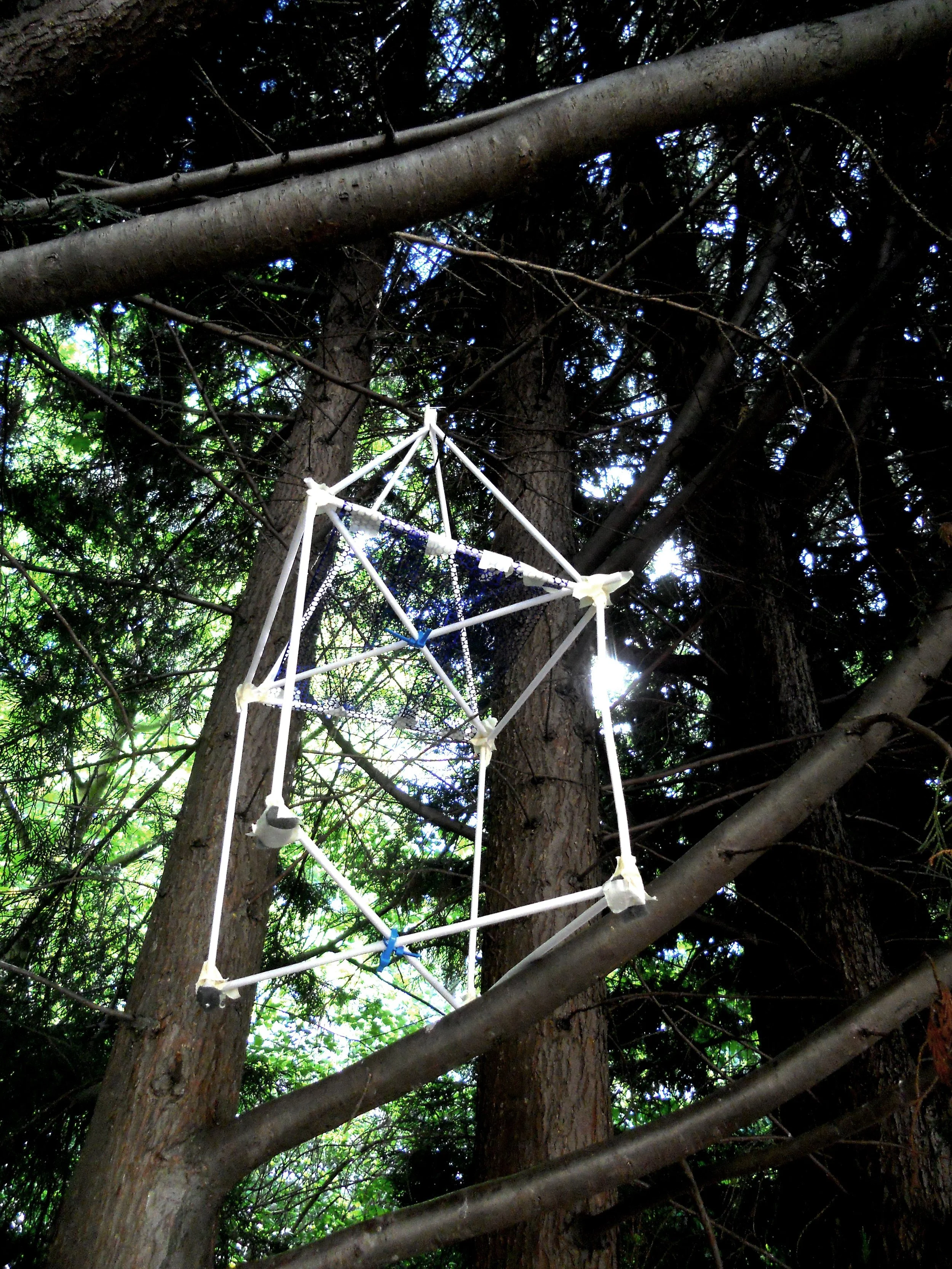 treehouse.jpg