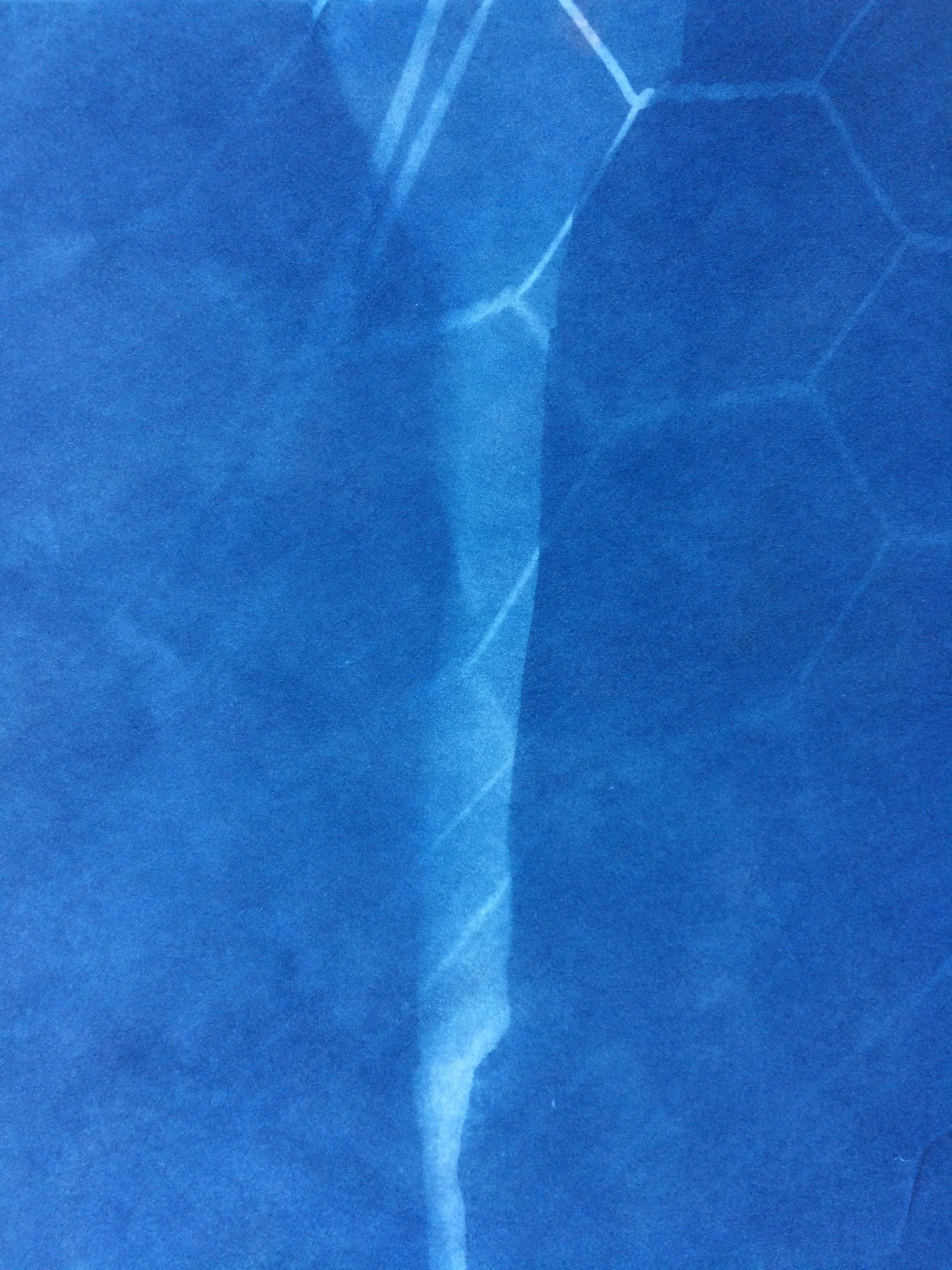 Cyanotype16.jpg