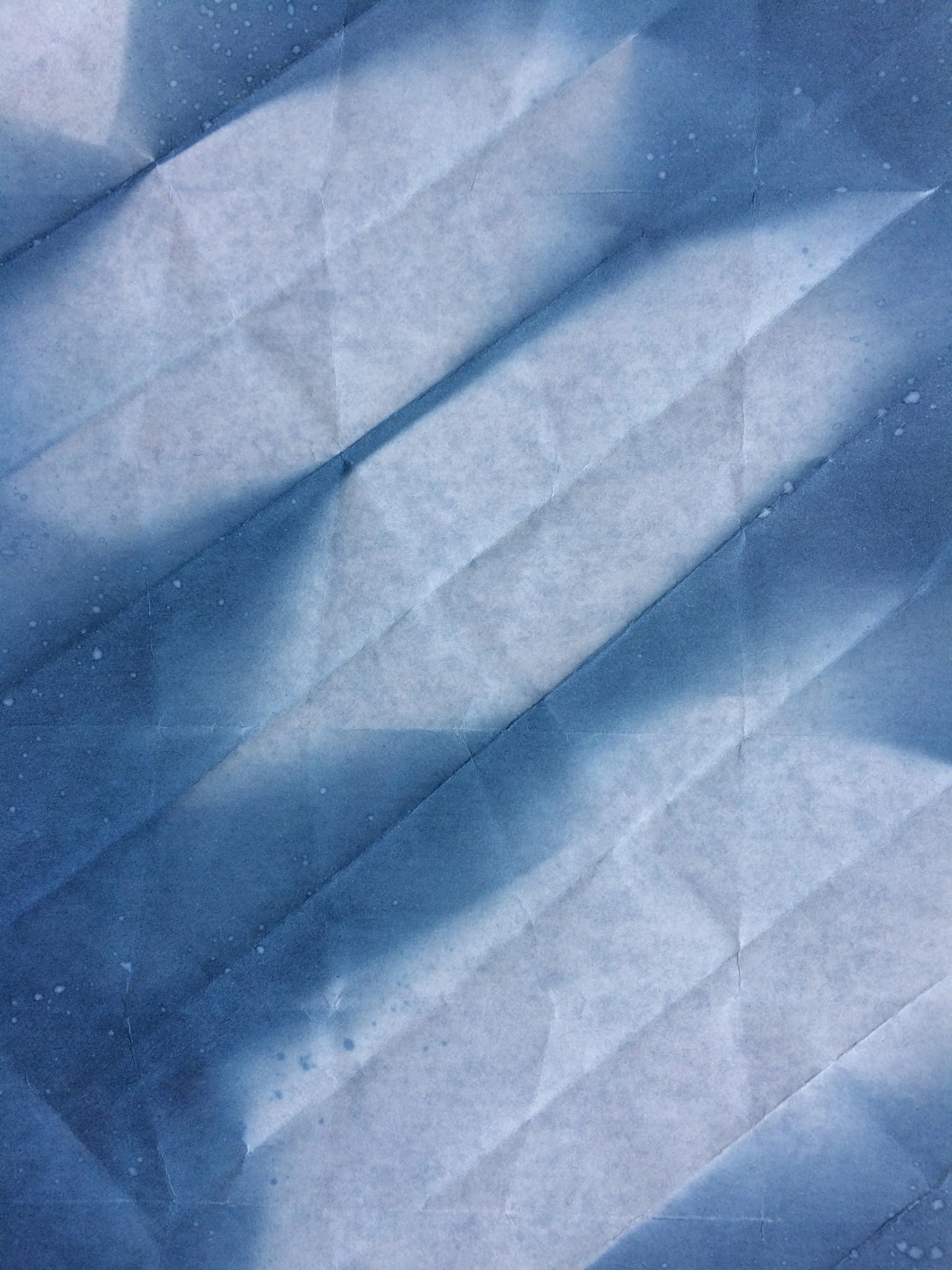 Cyanotype09.jpg