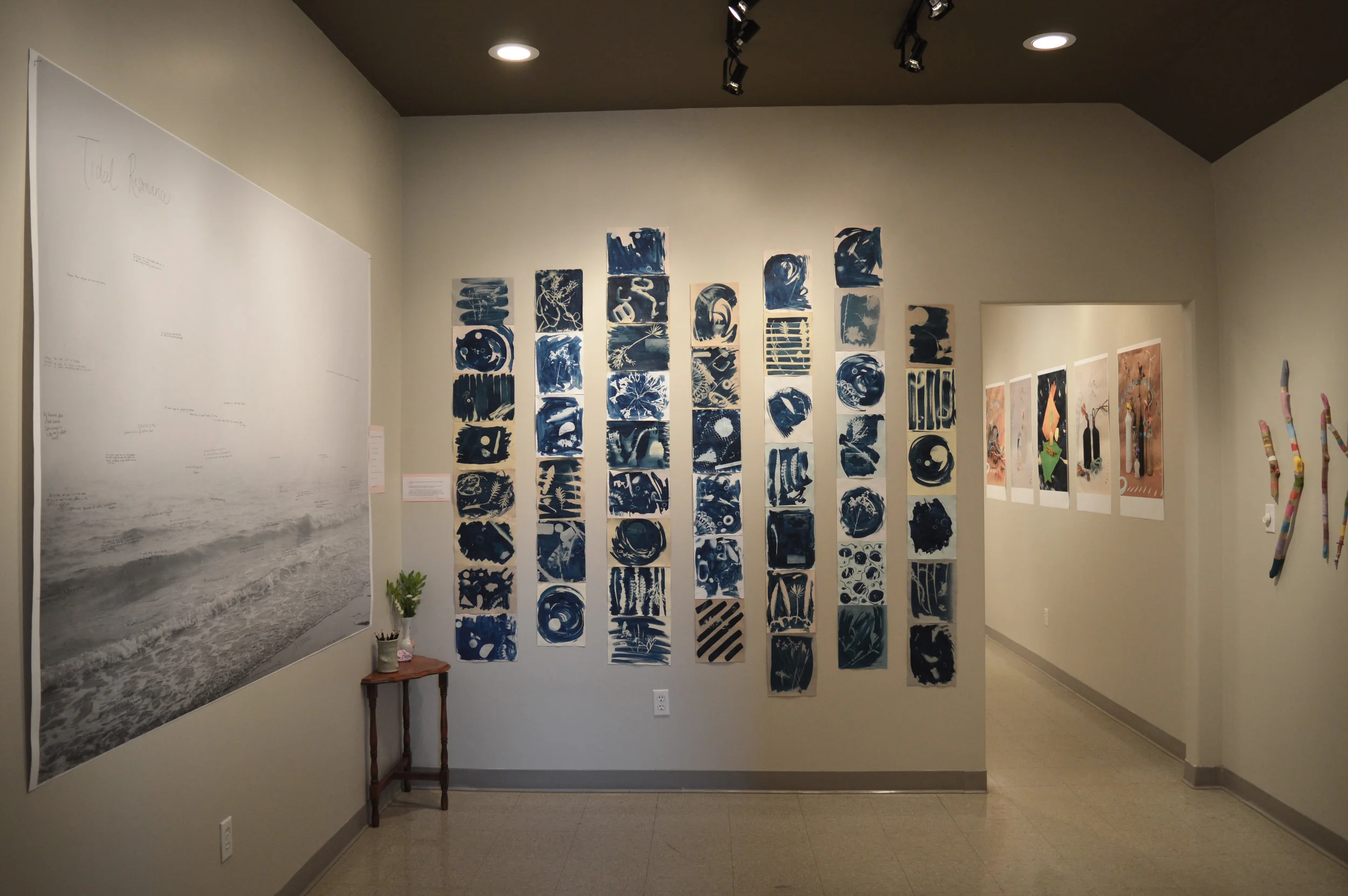 Tidal Resonance install big sea cyano room.jpg