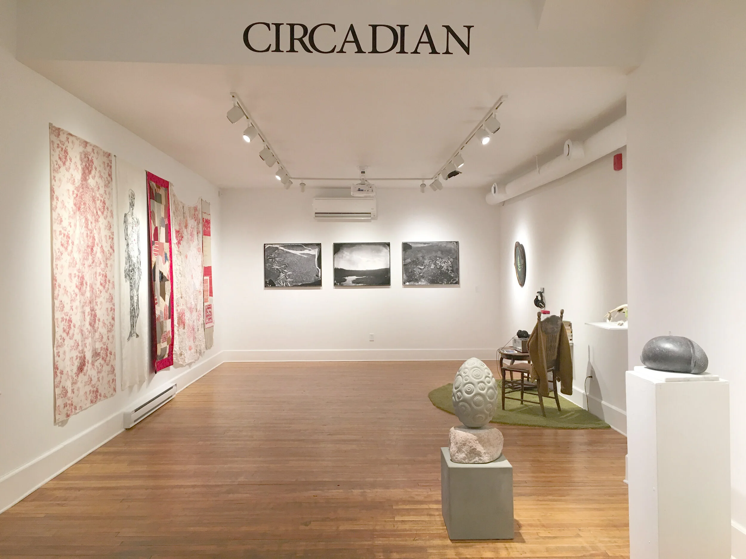  (clockwise from left)  Anna Torma, Karen Stentaford, Janice Wright Cheney, Jud Crandall, Alana Morouney, Tara Francis, Jim Boyd 