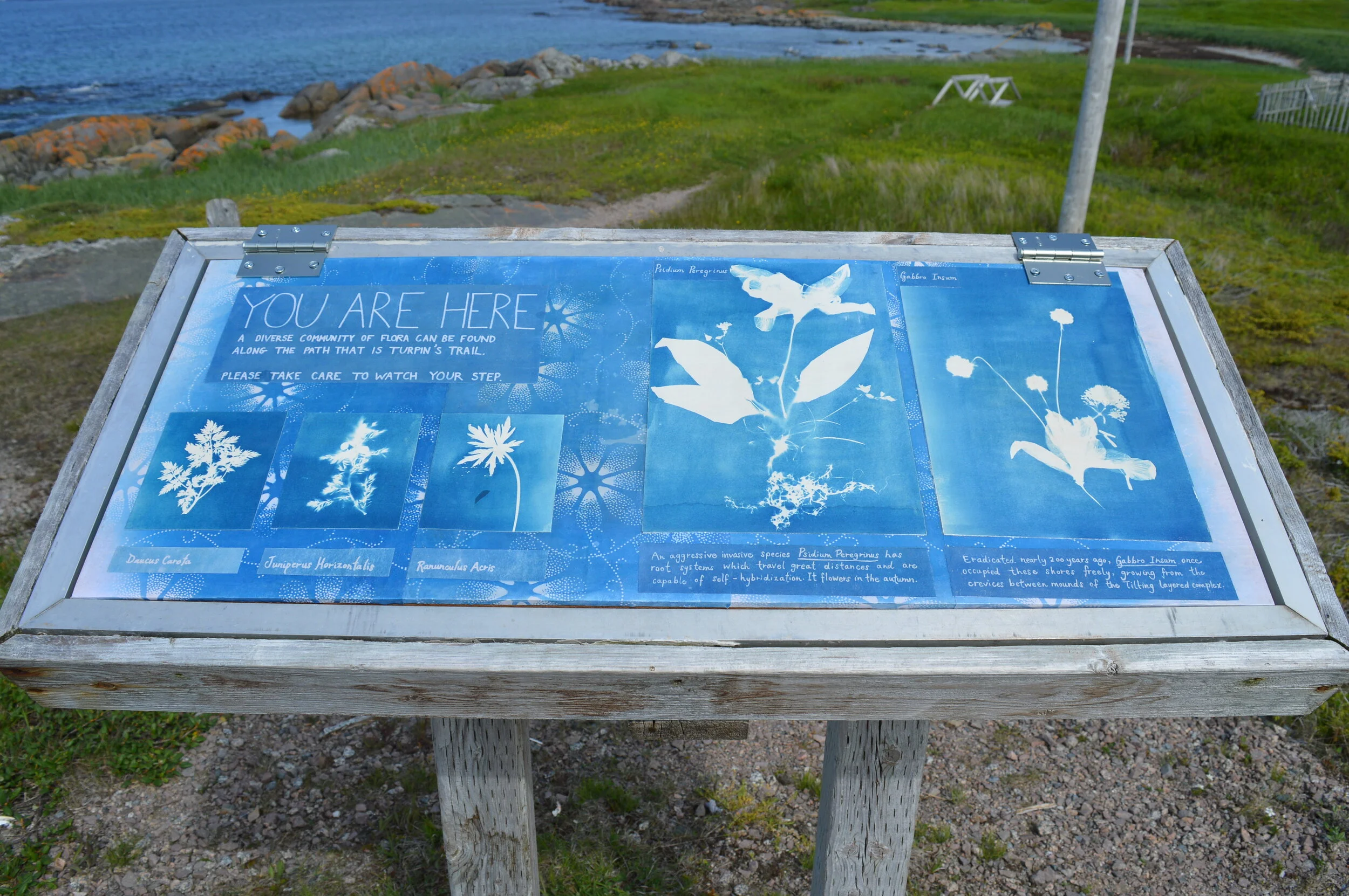 DSC_1760.JPG