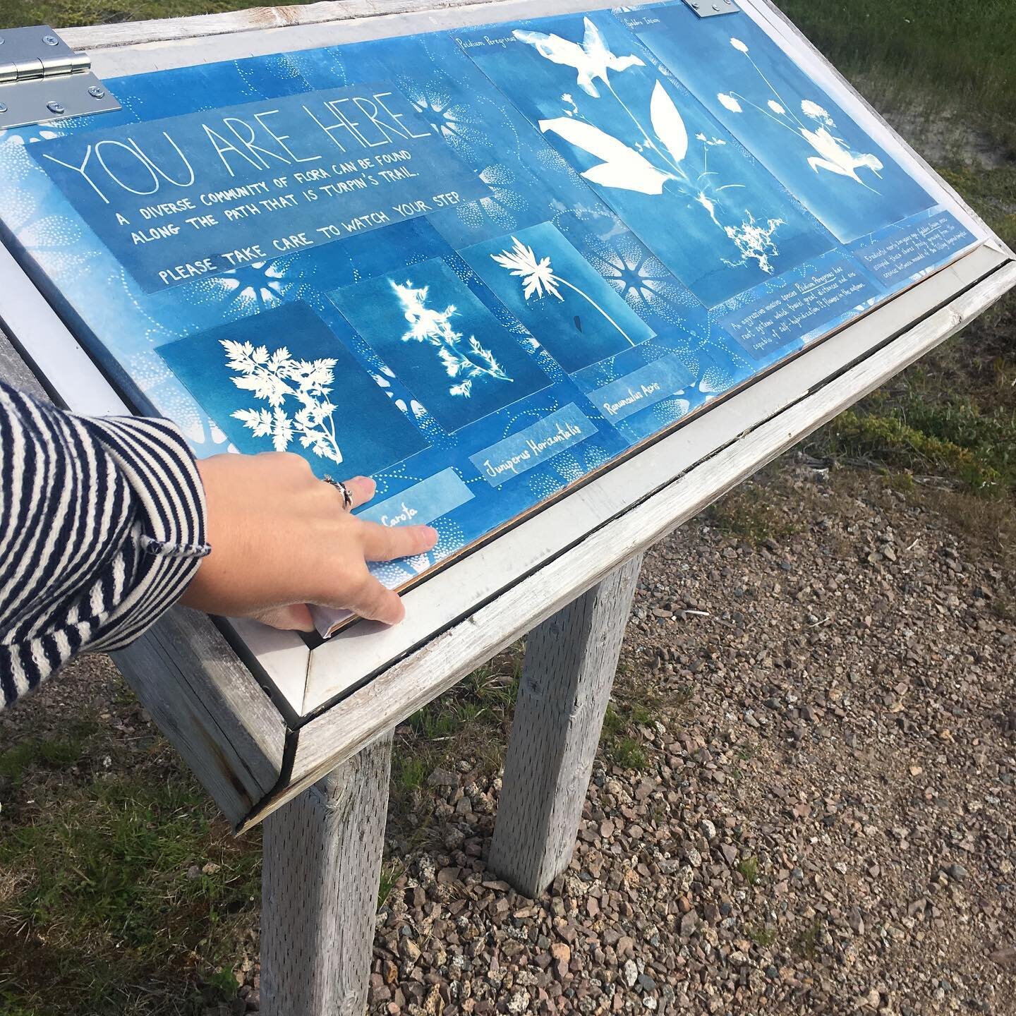 reinterpretation panel 2.jpg