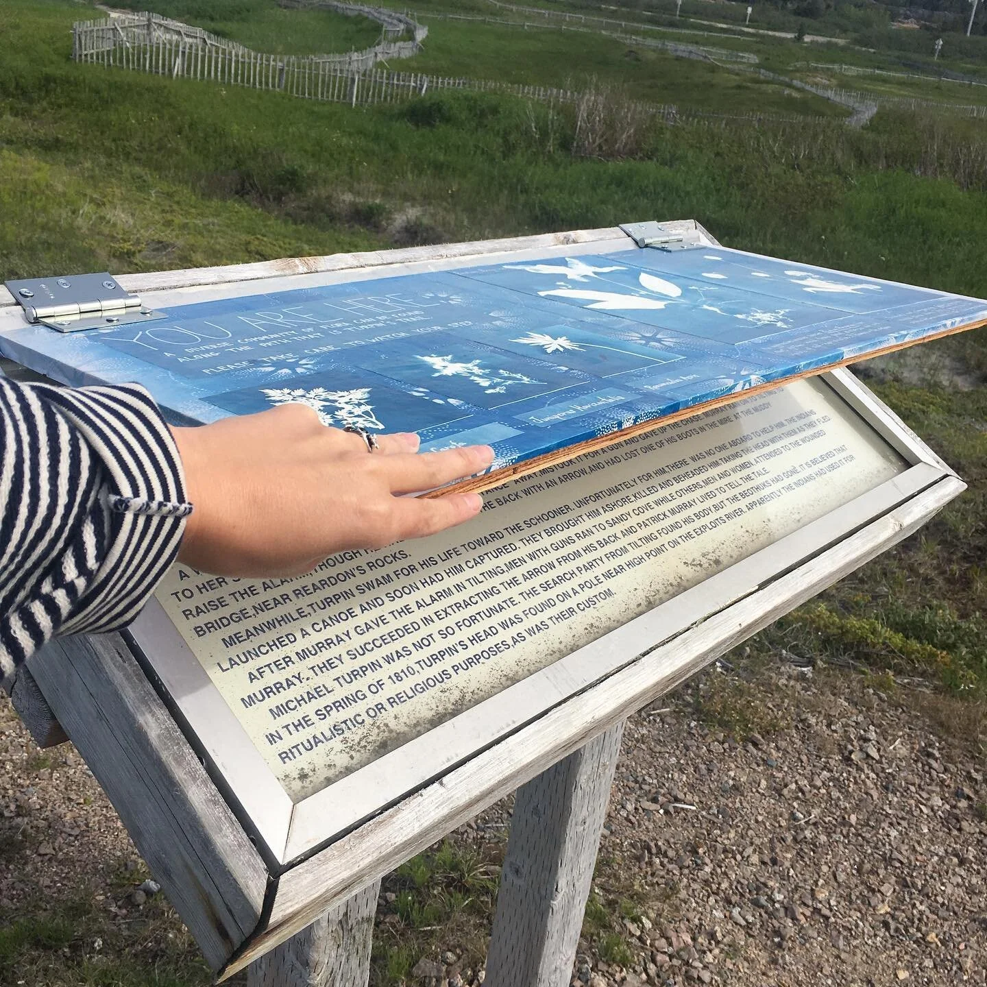 reinterpretation panel 3.jpg